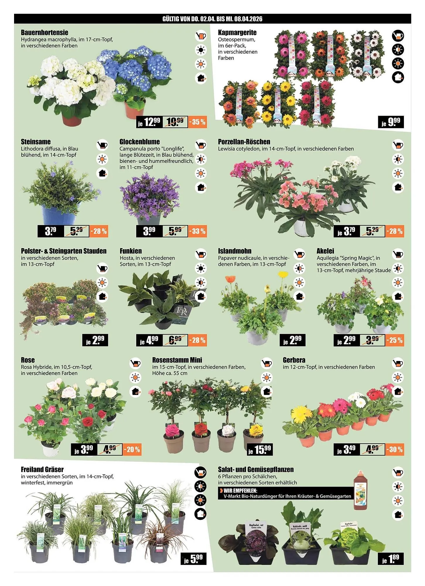 V Baumarkt Prospekt von 2. April bis 9. April 2026 - Prospekt seite 2