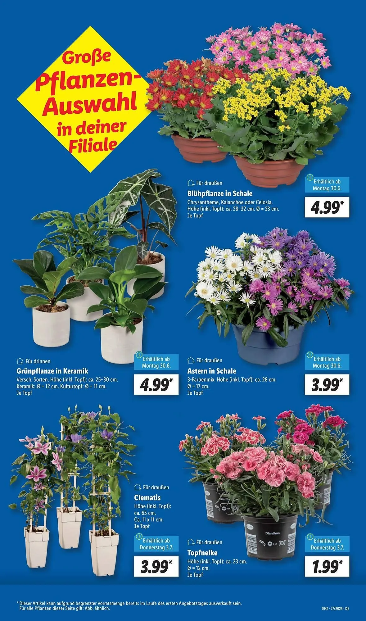 Lidl Prospekt von 30. Juni bis 6. Juli 2025 - Prospekt seite 7