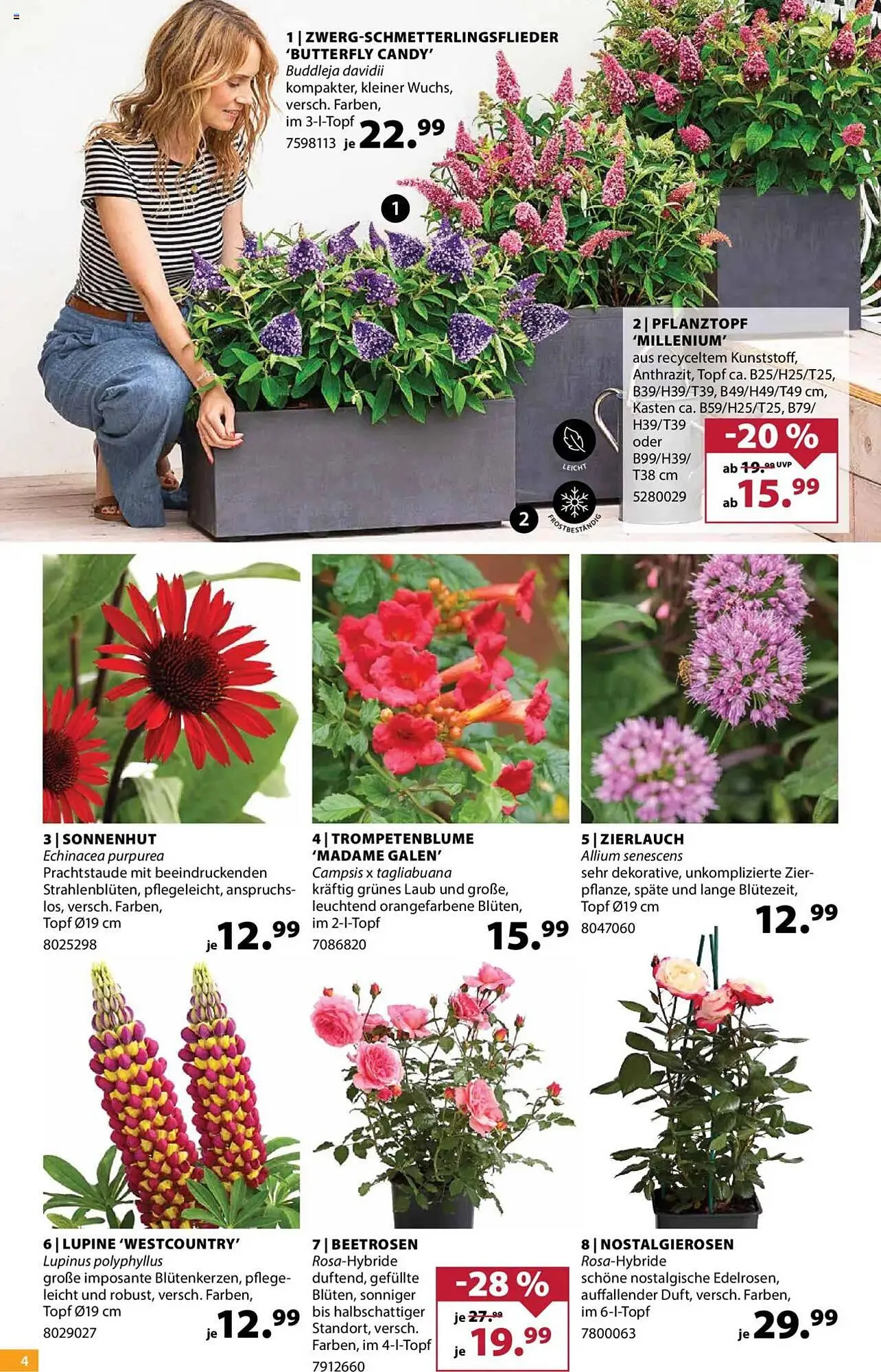 Dehner Prospekt von 23. April bis 28. April 2025 - Prospekt seite 4