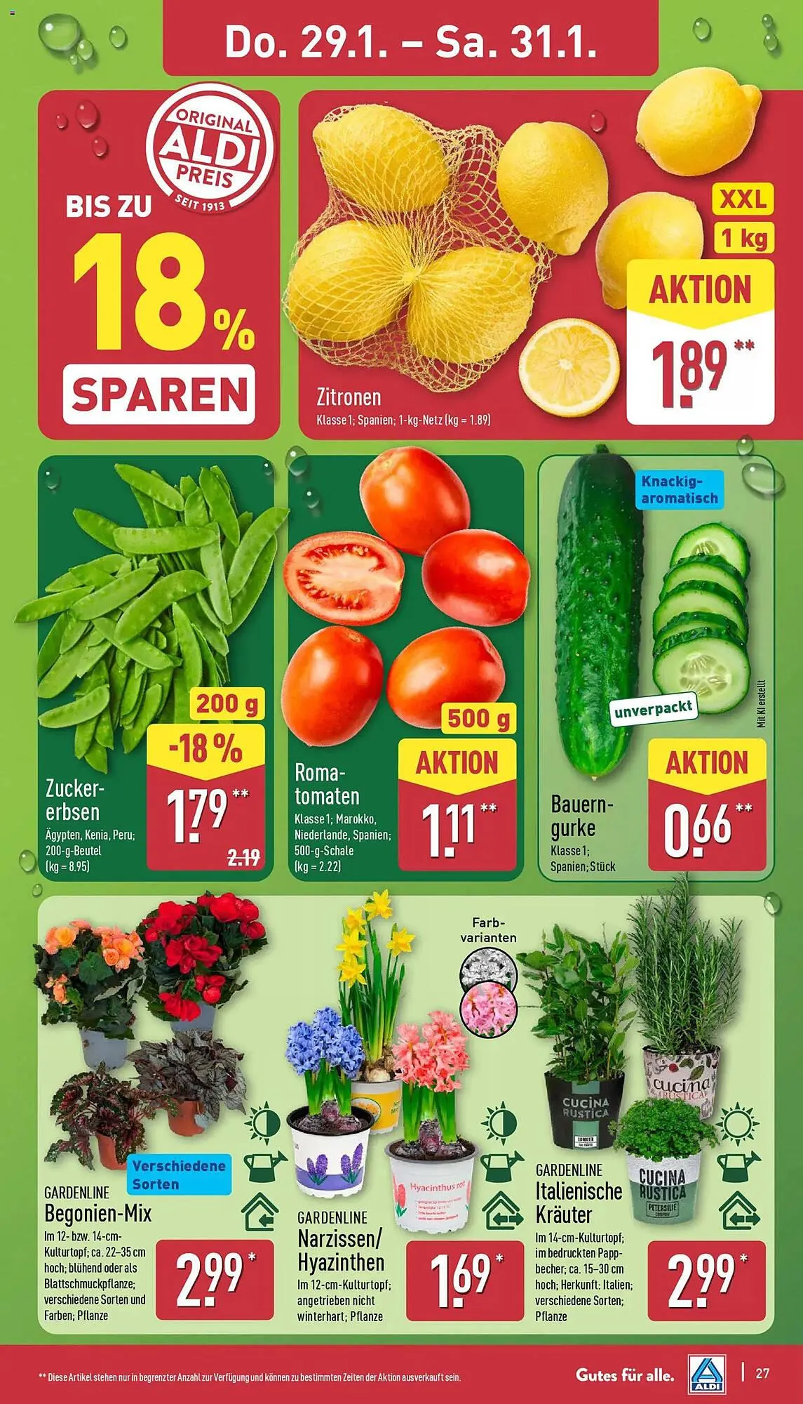Aldi Nord Prospekt von 26. Januar bis 31. Januar 2026 - Prospekt seite 29