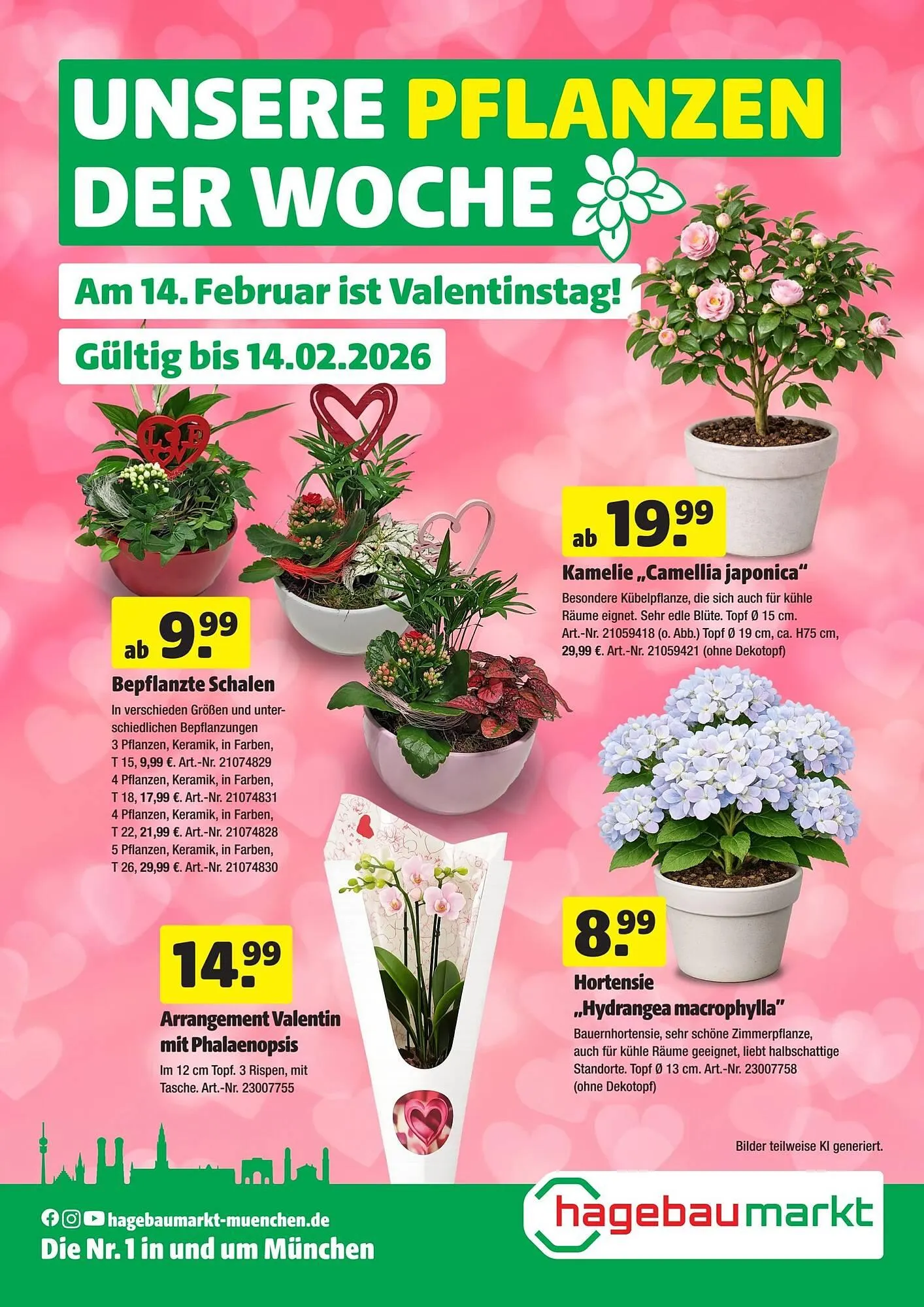 Hagebau Prospekt - 1