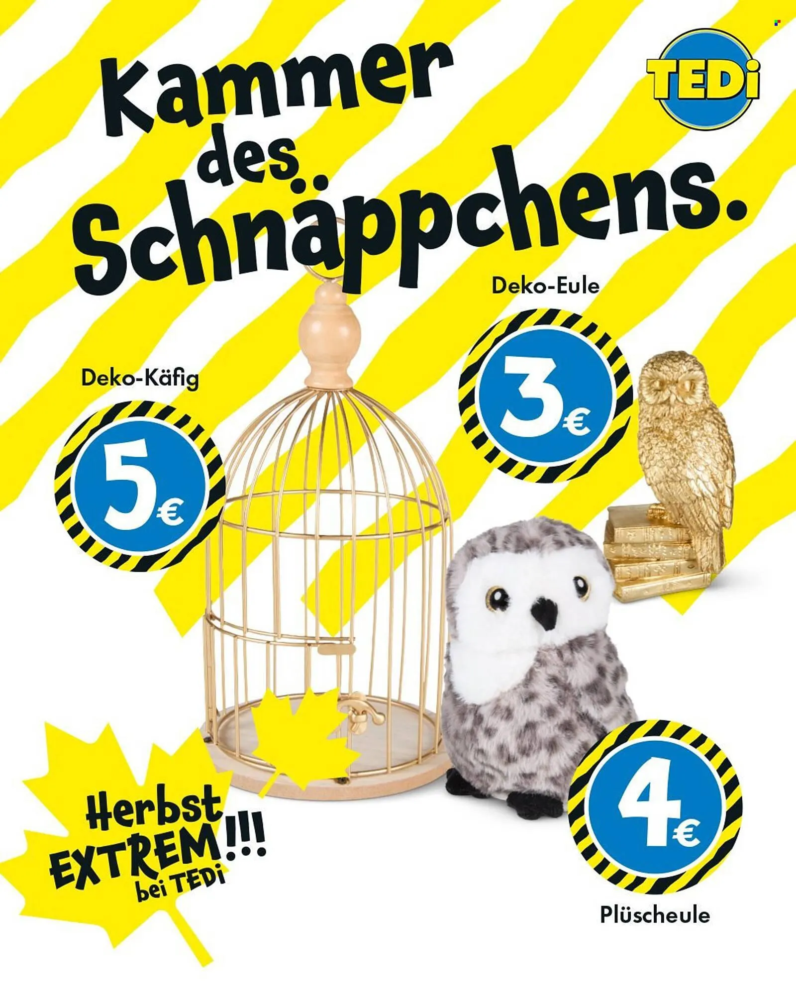 TEDi Prospekt von 29. September bis 7. Oktober 2025 - Prospekt seite 7