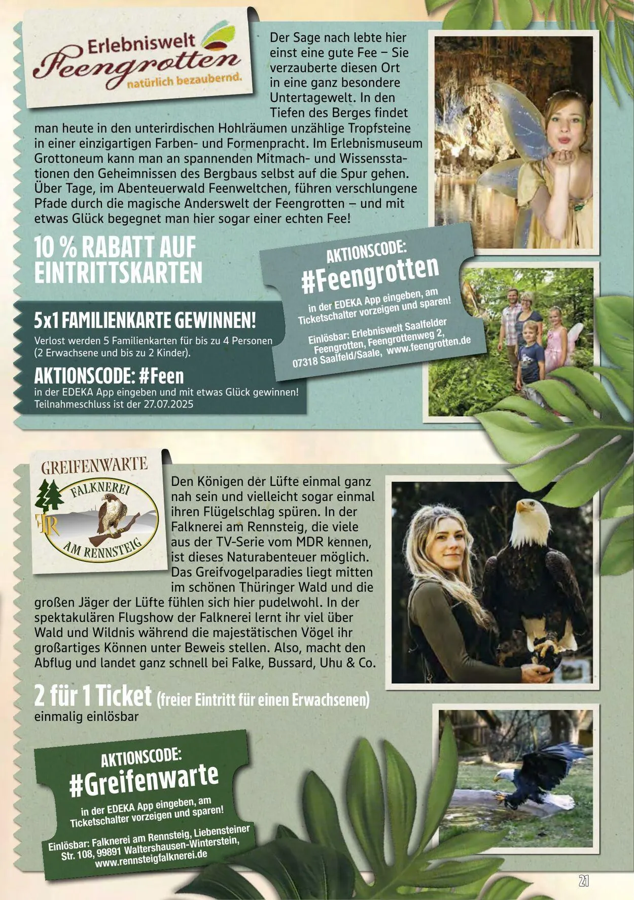 Marktkauf - Döbeln Aktueller Prospekt von 14. Juli bis 19. Juli 2025 - Prospekt seite 67