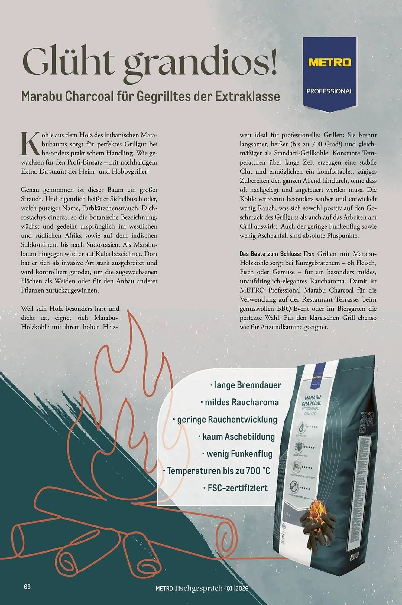 METRO Prospekt von 1. Februar bis 28. Februar 2026 - Prospekt seite 66