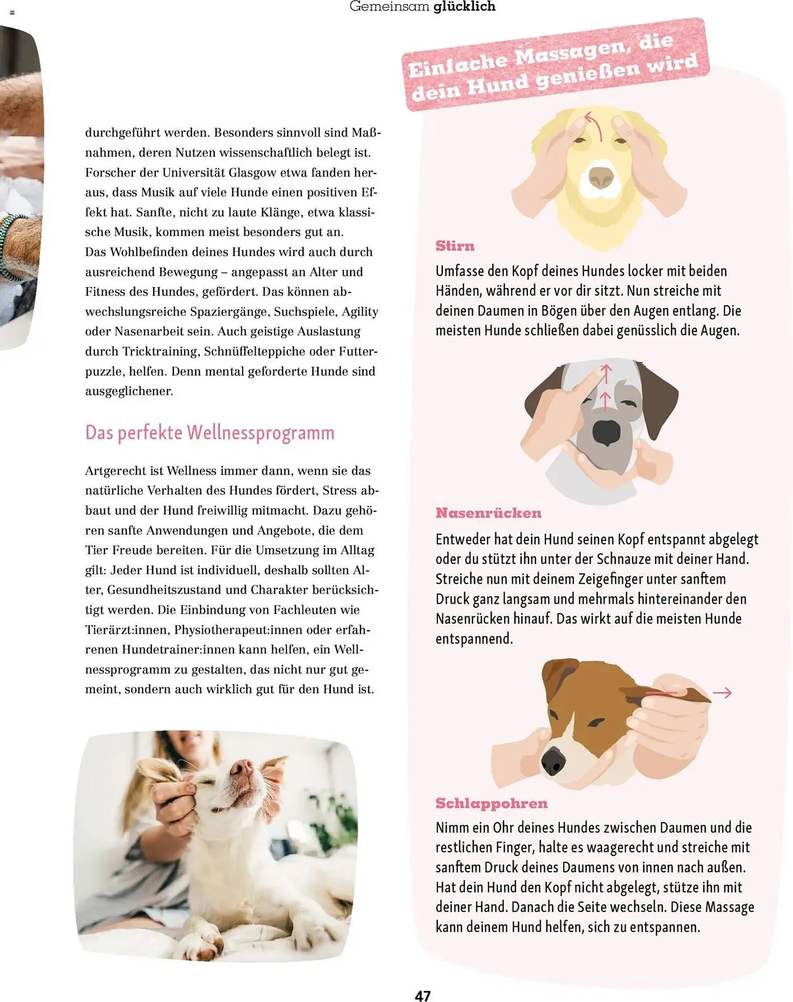 Fressnapf Magazin von 1. November bis 31. Dezember 2025 - Prospekt seite 47