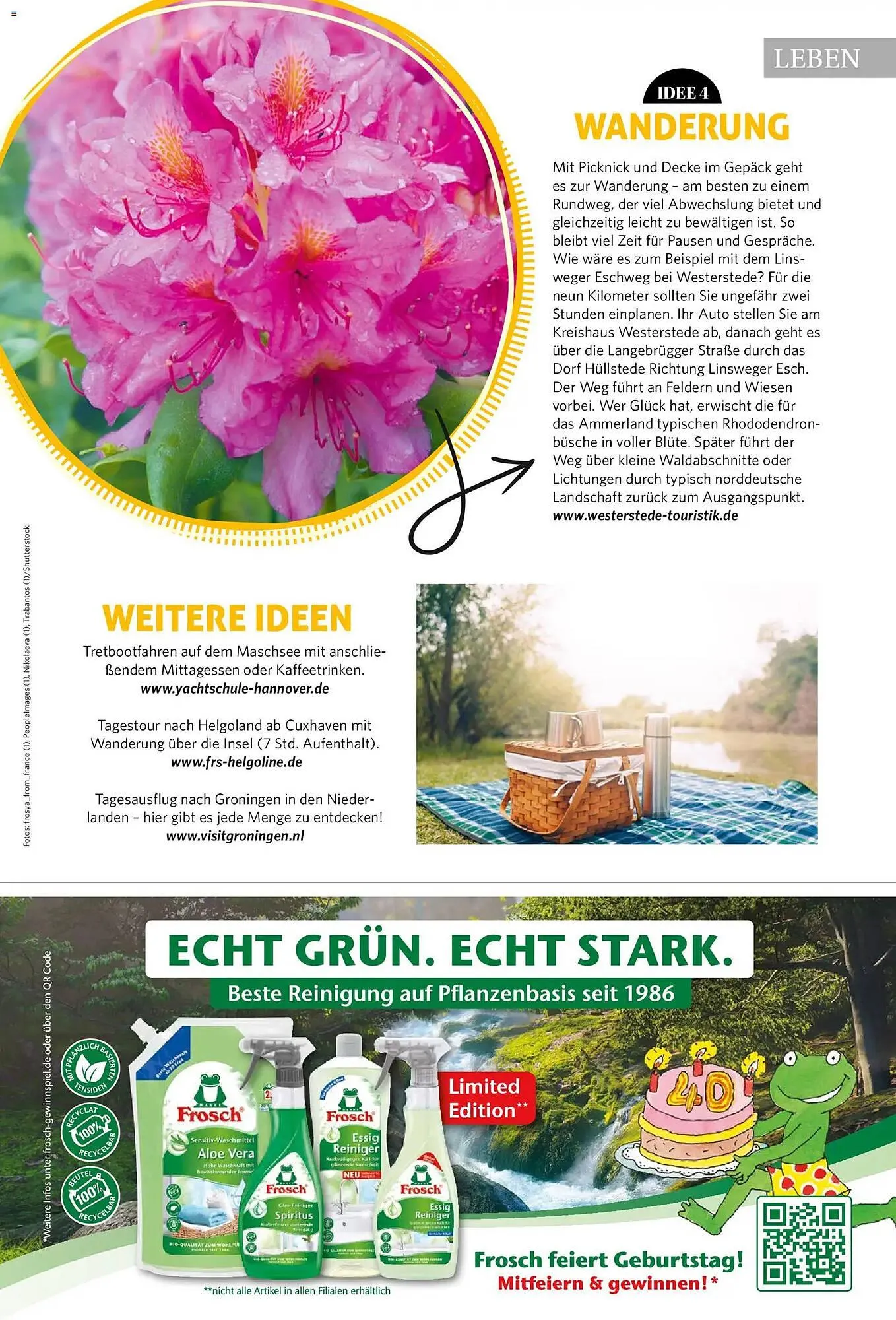 Combi Magazin von 1. Mai bis 31. Mai 2026 - Prospekt seite 77