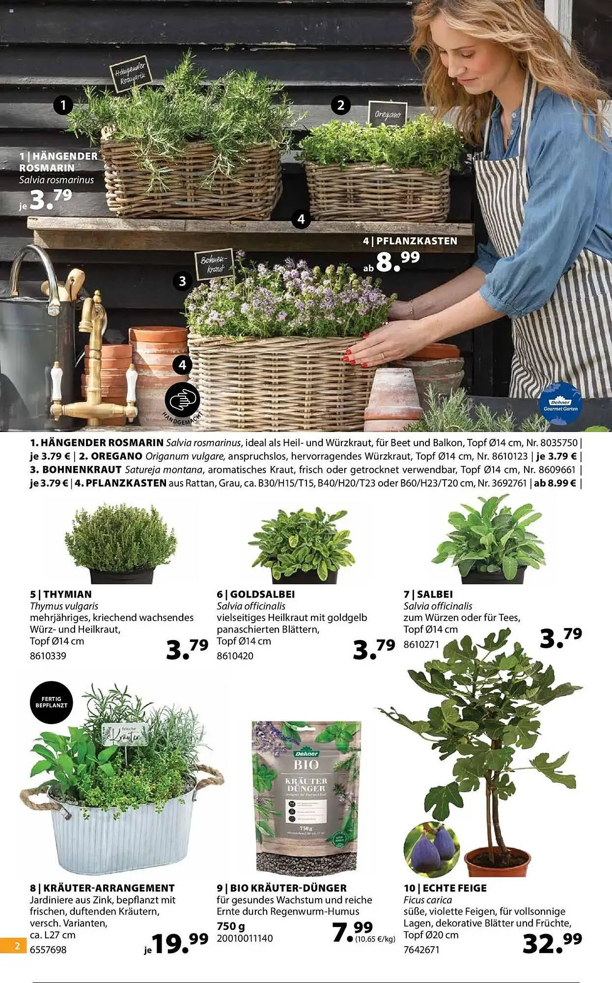 Dehner Prospekt von 2. April bis 7. April 2025 - Prospekt seite 2