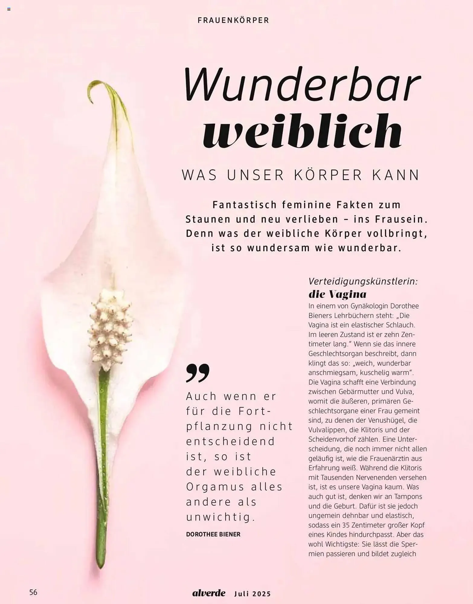 dm drogerie Prospekt von 1. Juli bis 31. Juli 2025 - Prospekt seite 56