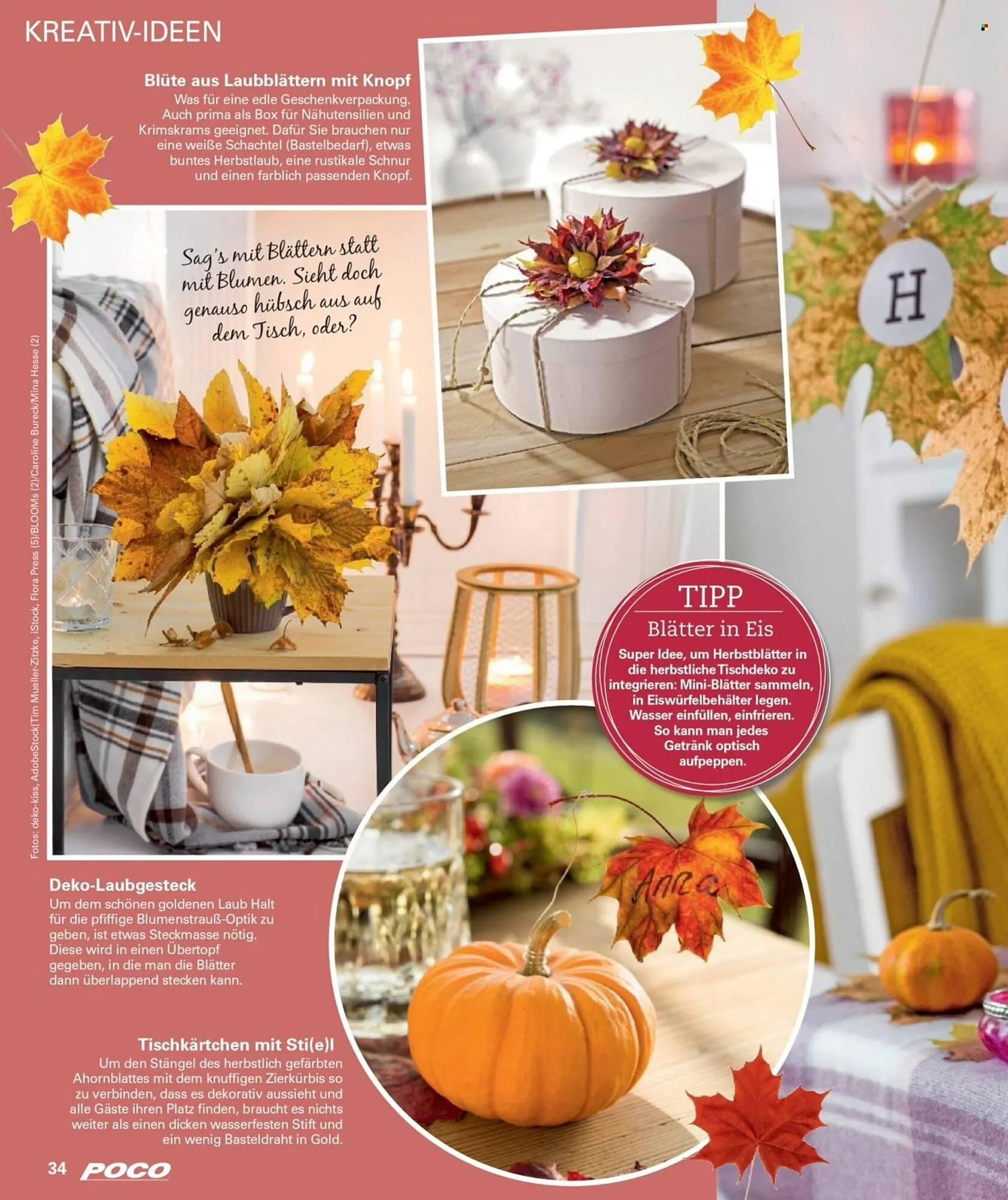 Poco Magazin von 1. September bis 30. November 2025 - Prospekt seite 34