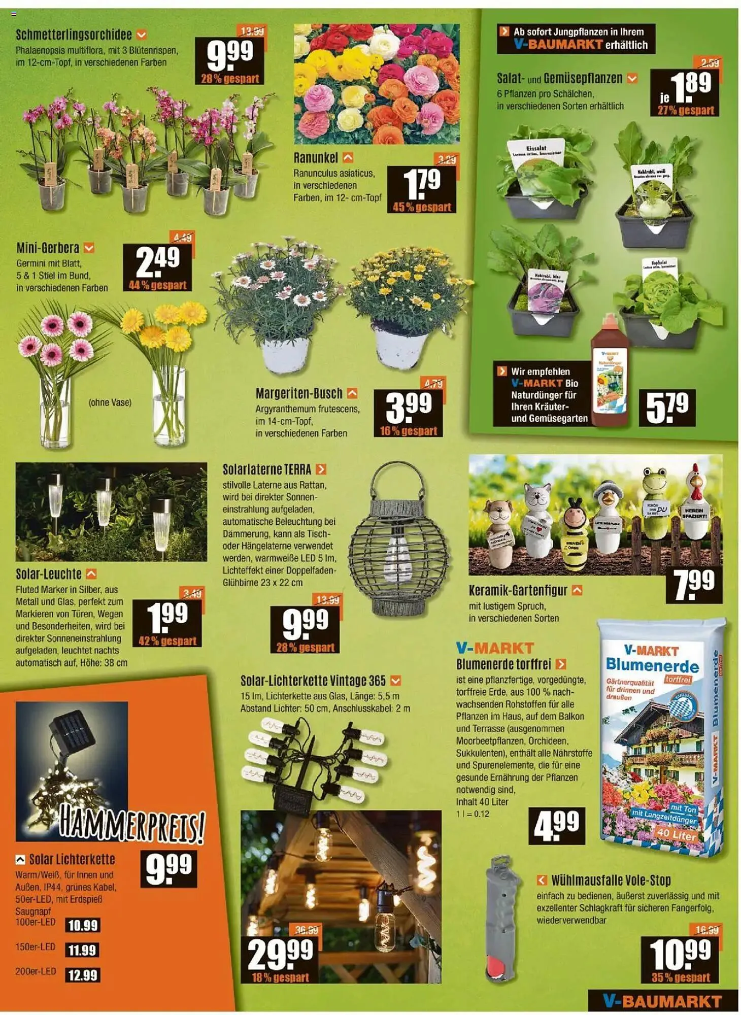 V Baumarkt Prospekt von 27. März bis 2. April 2025 - Prospekt seite 7