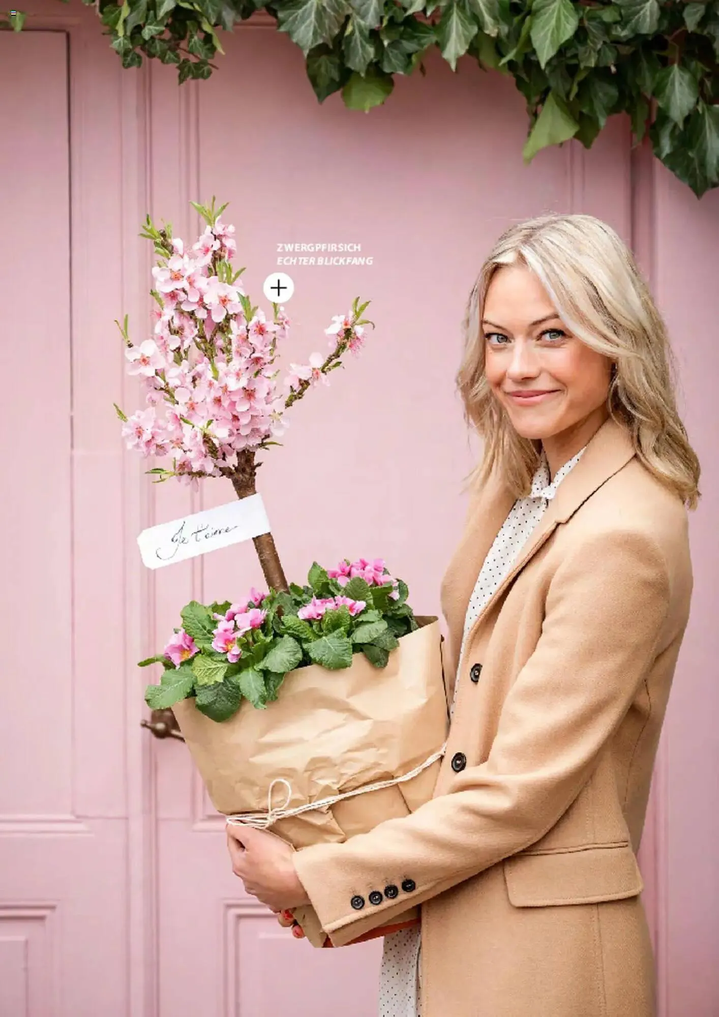 Dehner Prospekt von 6. März bis 9. Juni 2025 - Prospekt seite 49