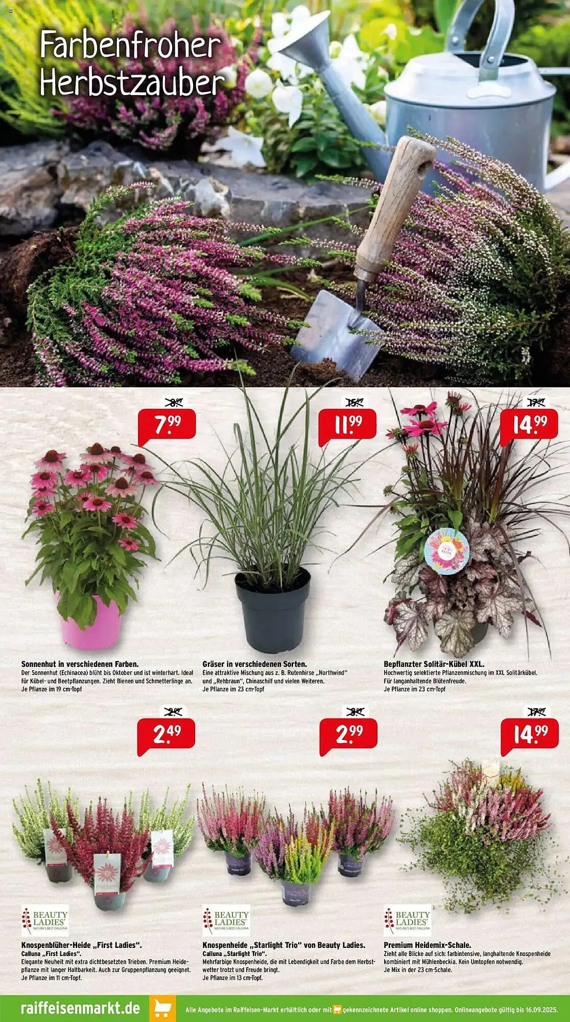Raiffeisen Markt Prospekt von 1. September bis 30. September 2025 - Prospekt seite 3