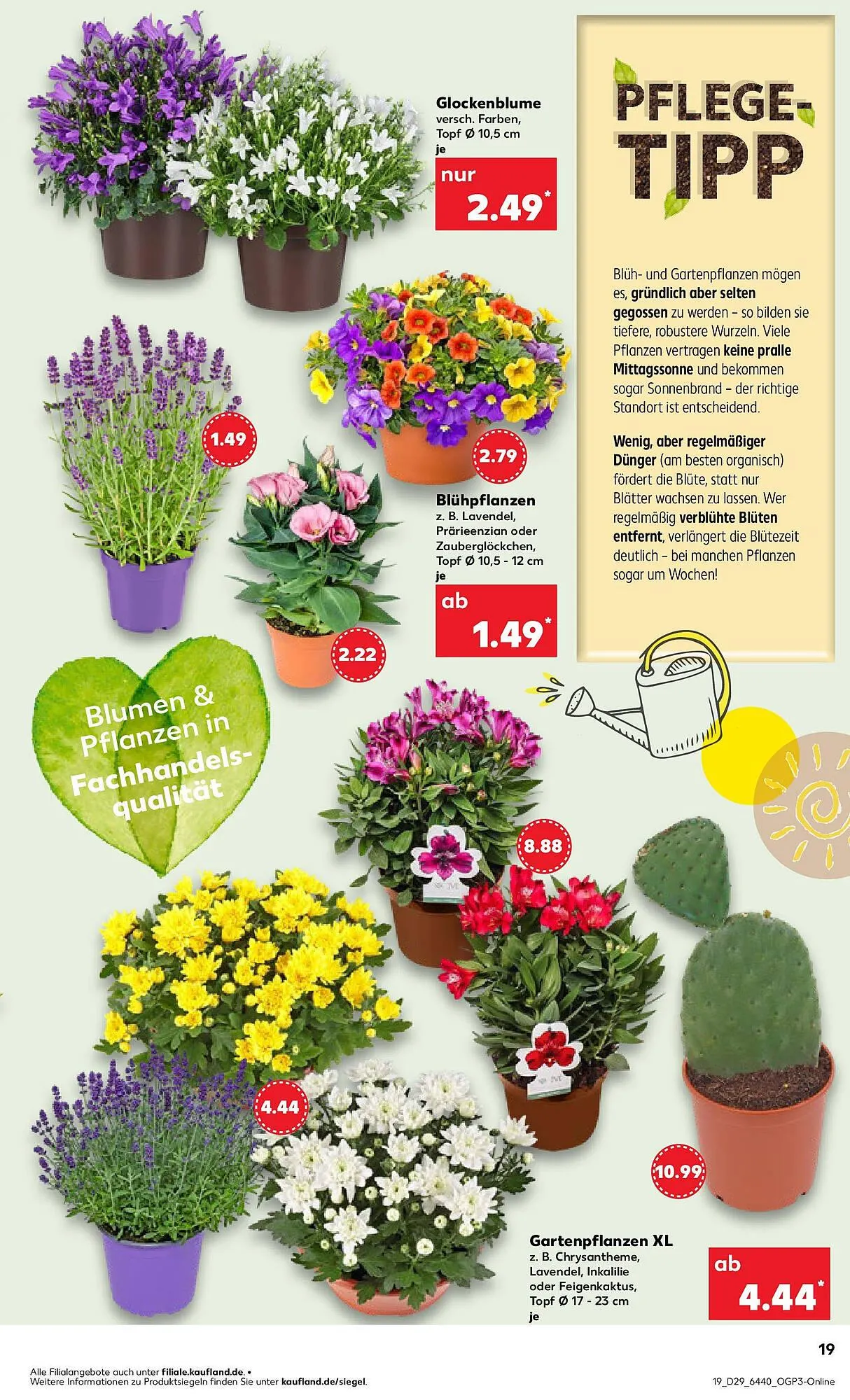 Kaufland Prospekt von 20. Juli bis 23. Juli 2025 - Prospekt seite 32