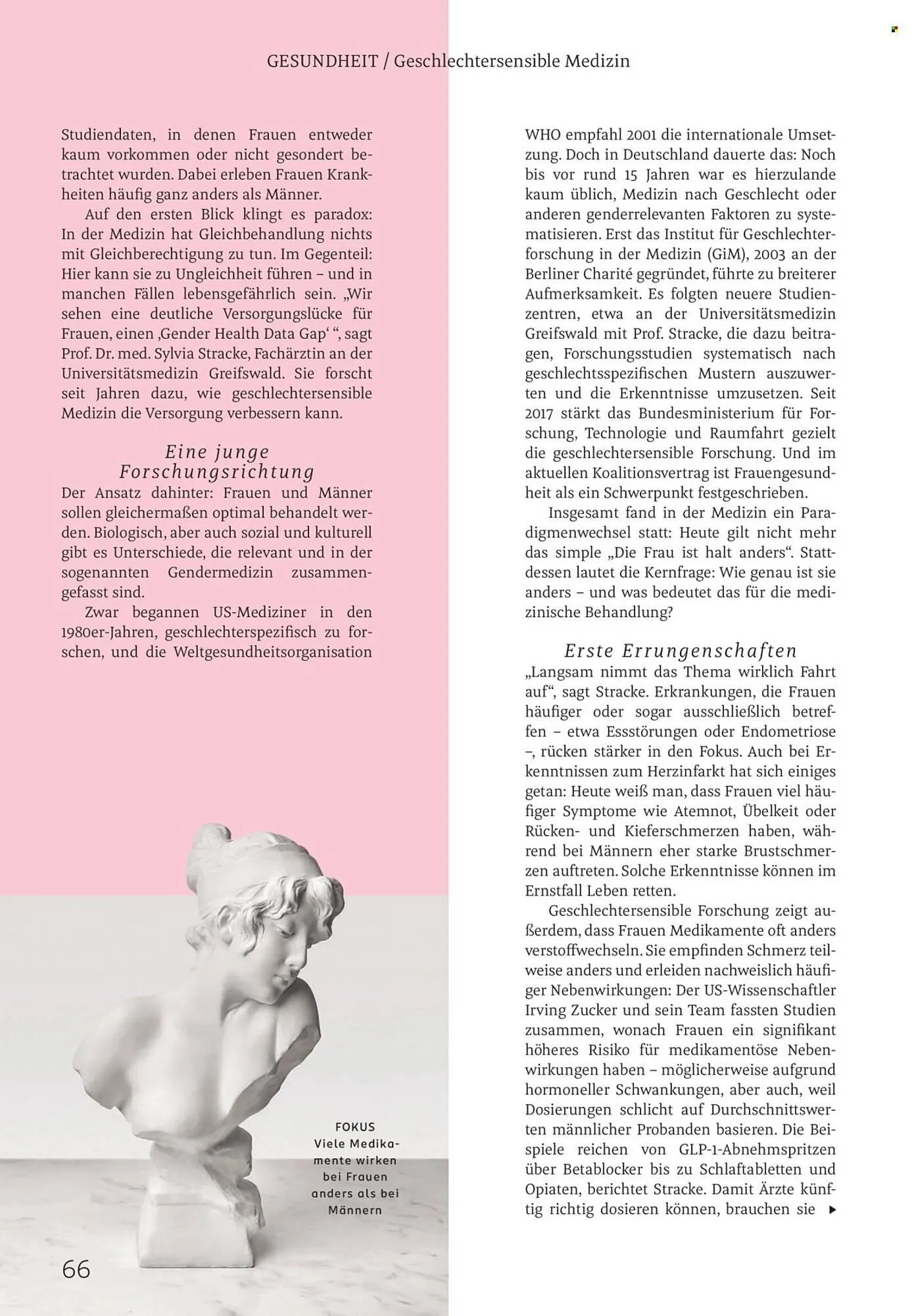 Rossmann Magazin von 1. Februar bis 28. Februar 2026 - Prospekt seite 66