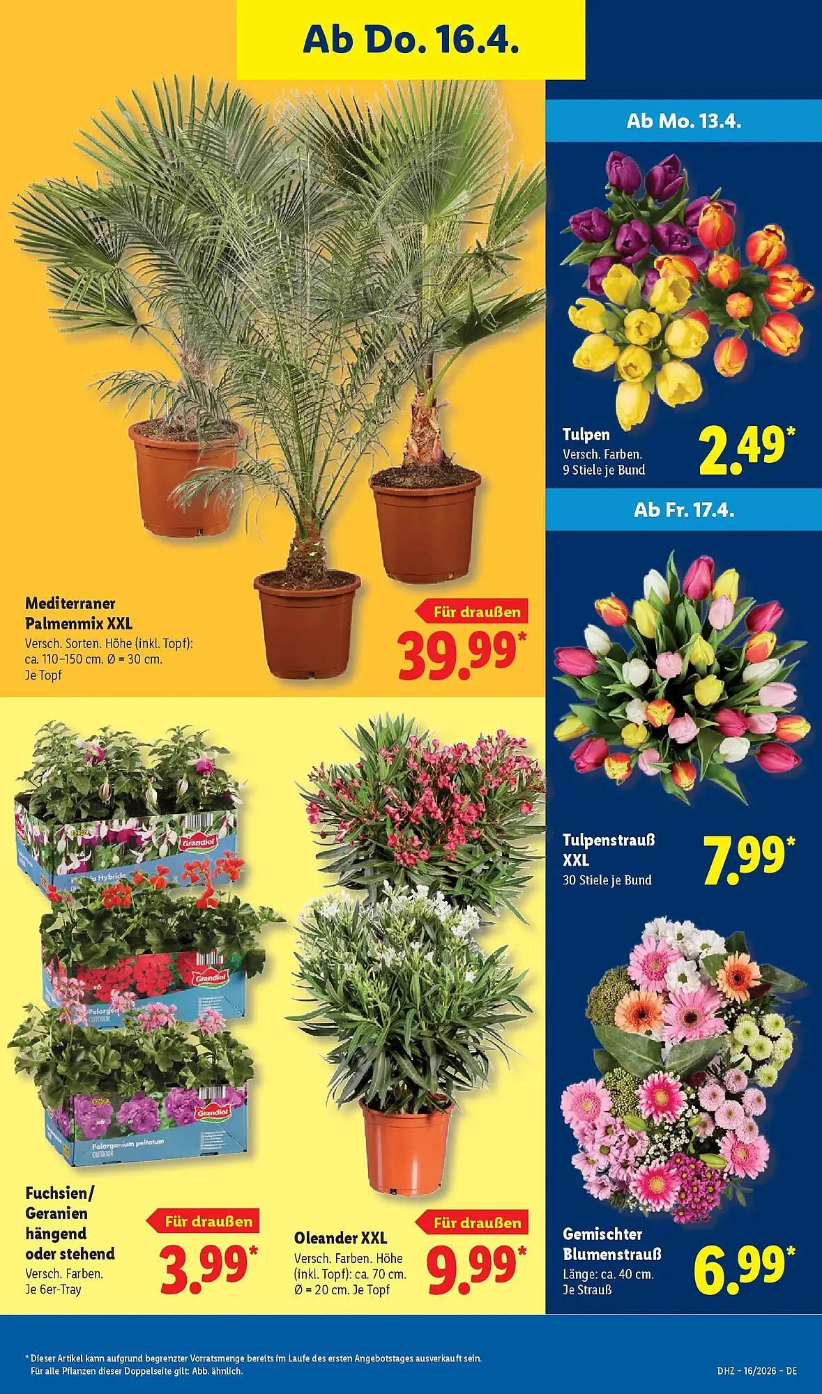 Lidl Prospekt von 12. April bis 18. April 2026 - Prospekt seite 69