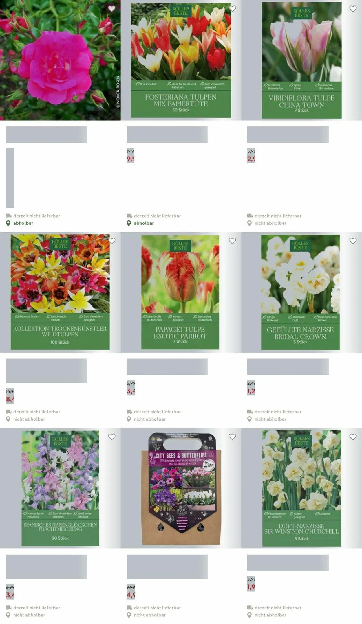 Pflanzen-Kölle Aktueller Prospekt von 15. Dezember bis 24. Dezember 2025 - Prospekt seite 22