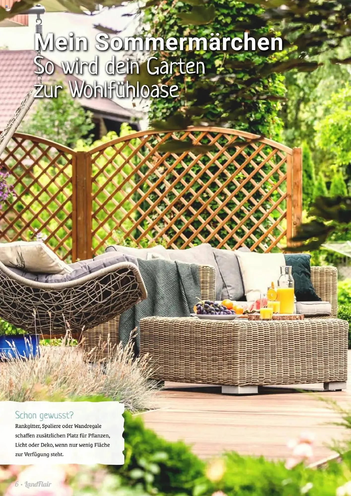 Raiffeisen Markt Prospekt von 6. Juni bis 31. Juli 2025 - Prospekt seite 6