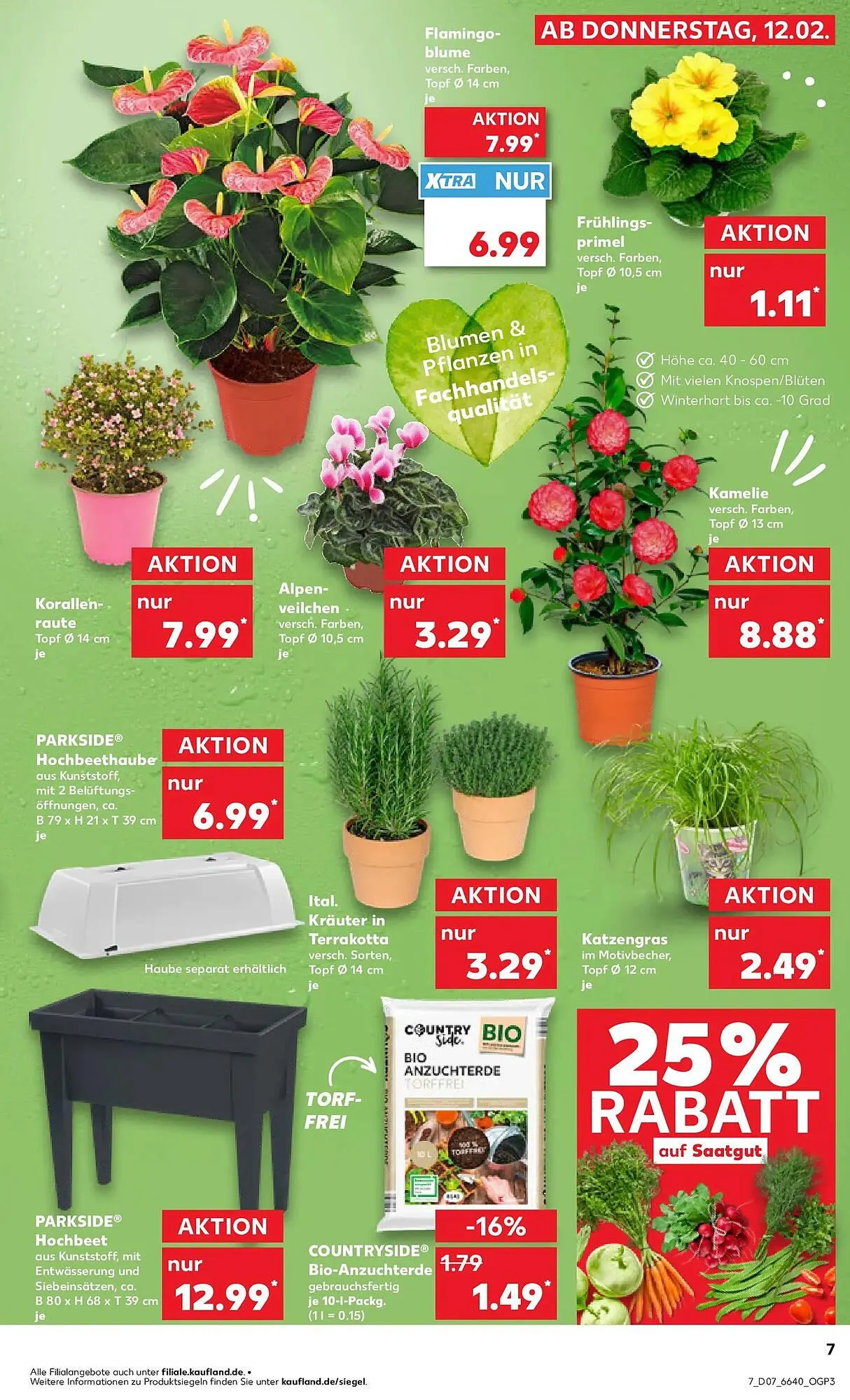 Kaufland Prospekt von 11. Februar bis 18. Februar 2026 - Prospekt seite 15