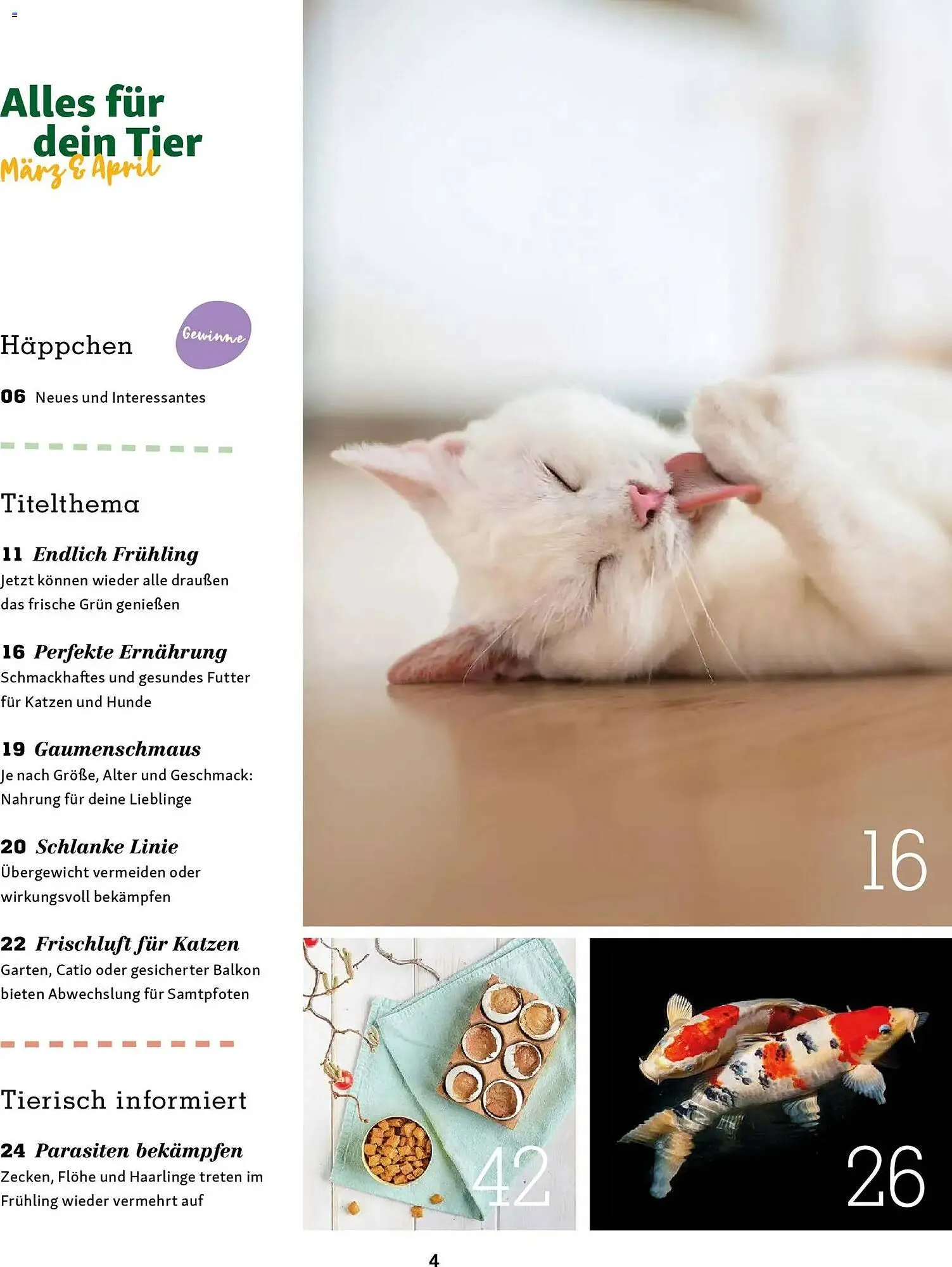 Fressnapf Magazin von 2. März bis 30. April 2026 - Prospekt seite 4