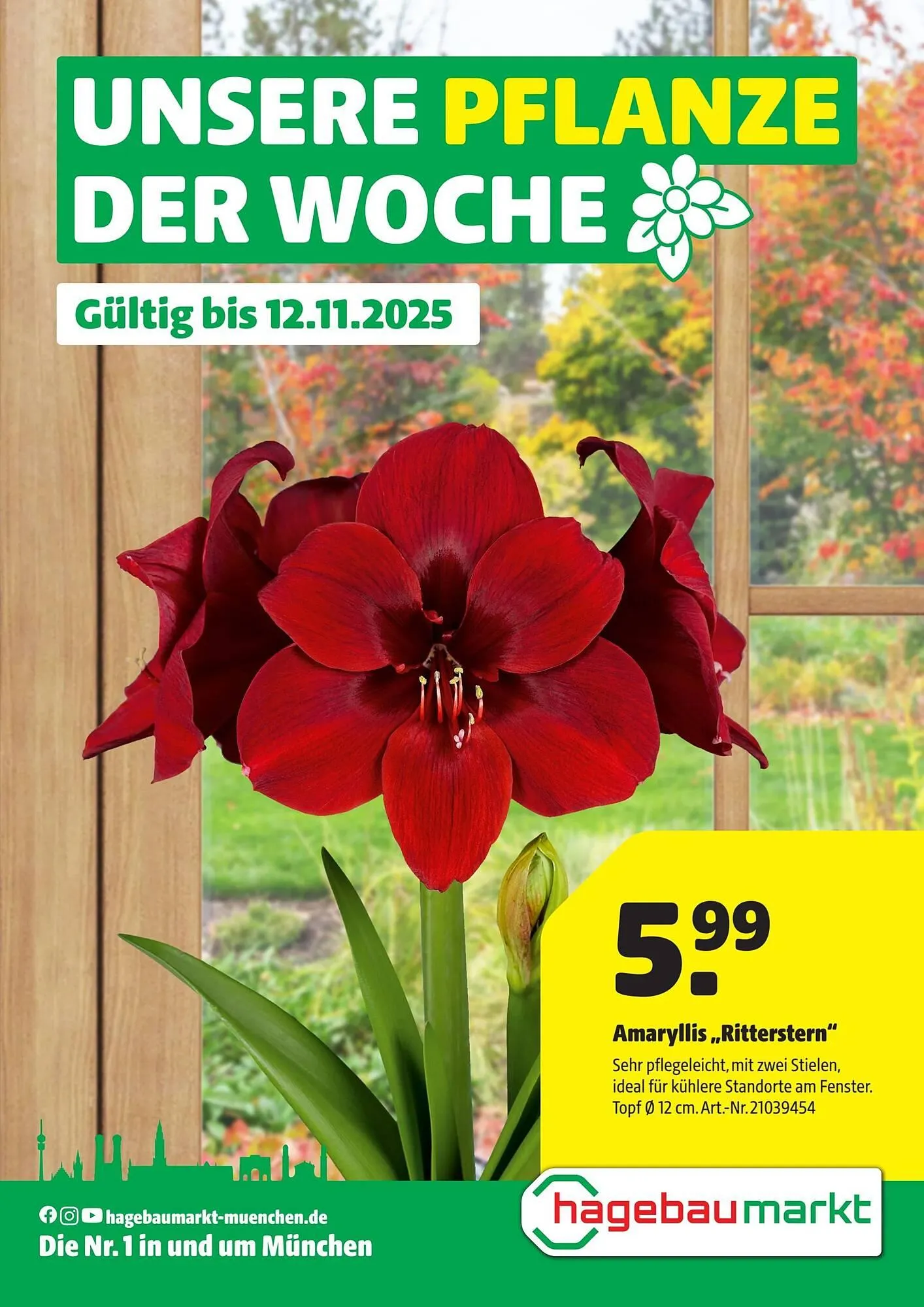 Hagebau Prospekt von 6. November bis 13. November 2025 - Prospekt seite 1