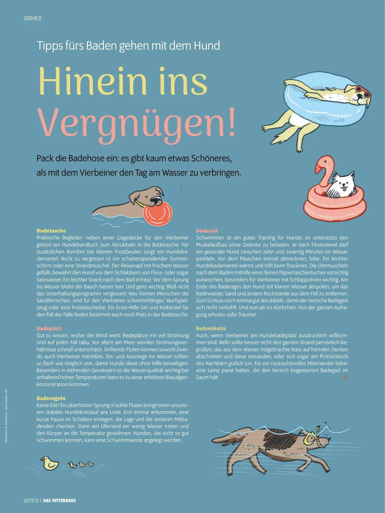 Futterhaus Aktueller Prospekt von 1. Juni bis 30. Juni 2025 - Prospekt seite 12