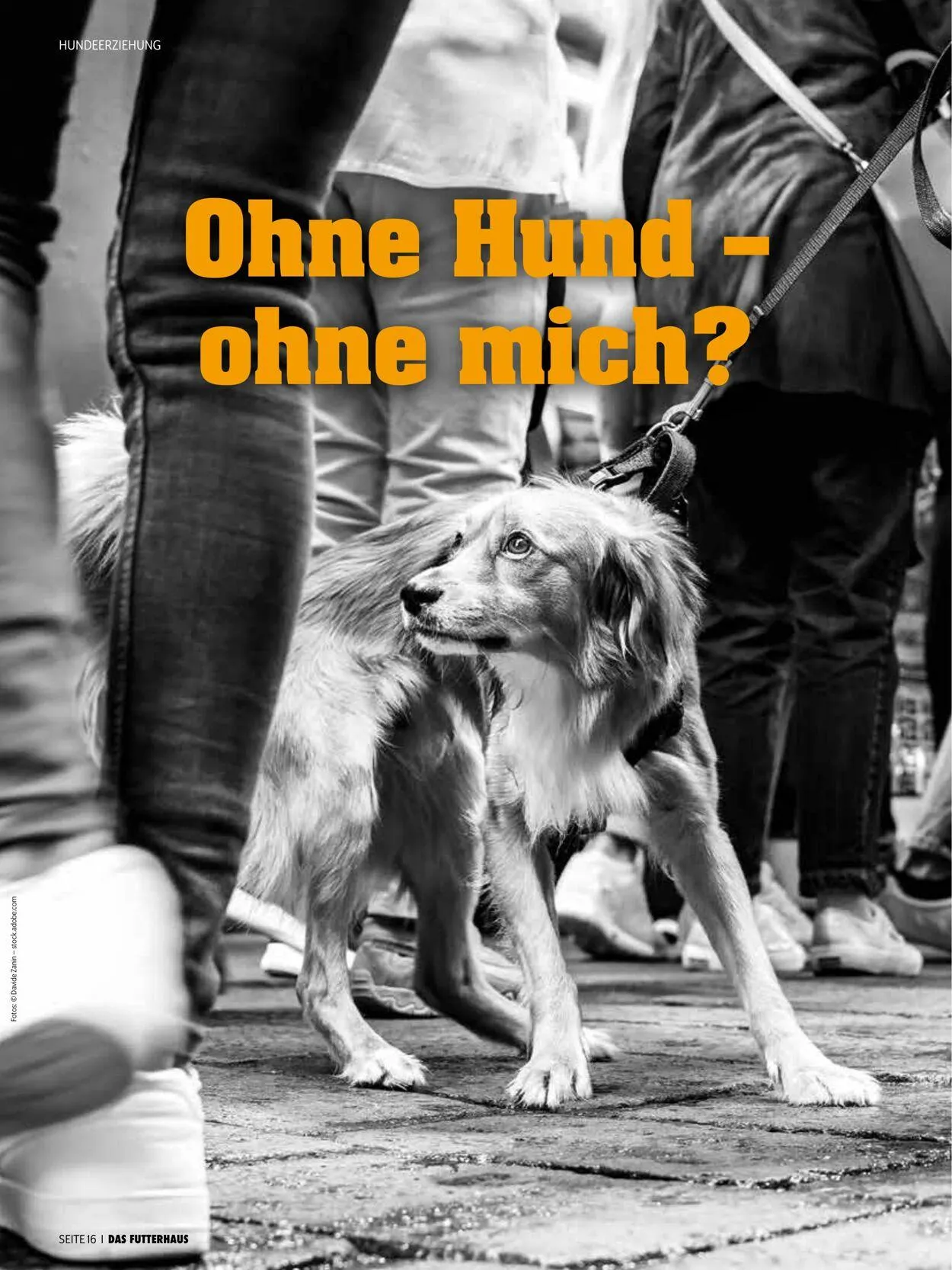 Futterhaus Aktueller Prospekt von 1. August bis 31. August 2025 - Prospekt seite 16