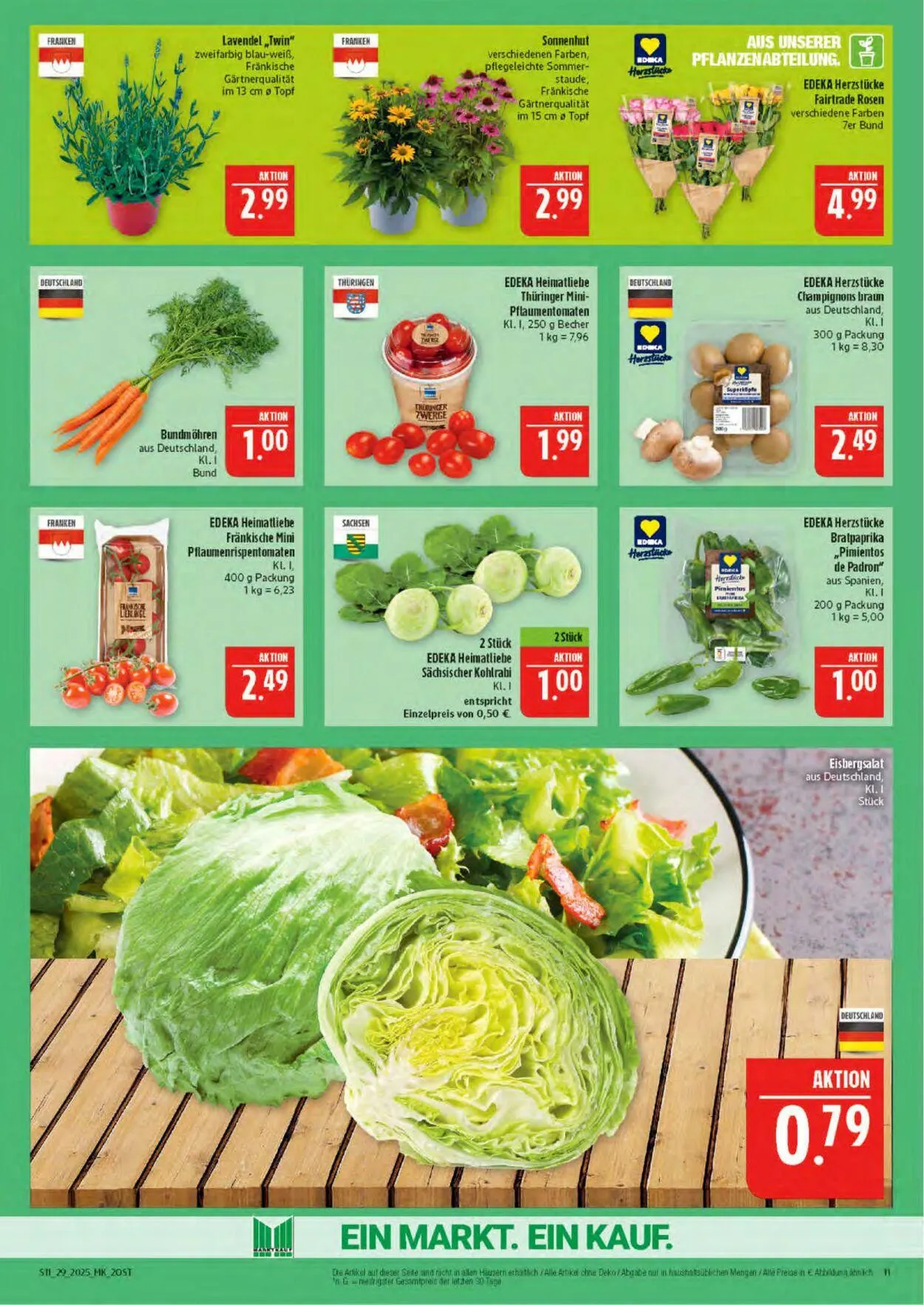 Marktkauf - Döbeln Aktueller Prospekt von 14. Juli bis 19. Juli 2025 - Prospekt seite 11