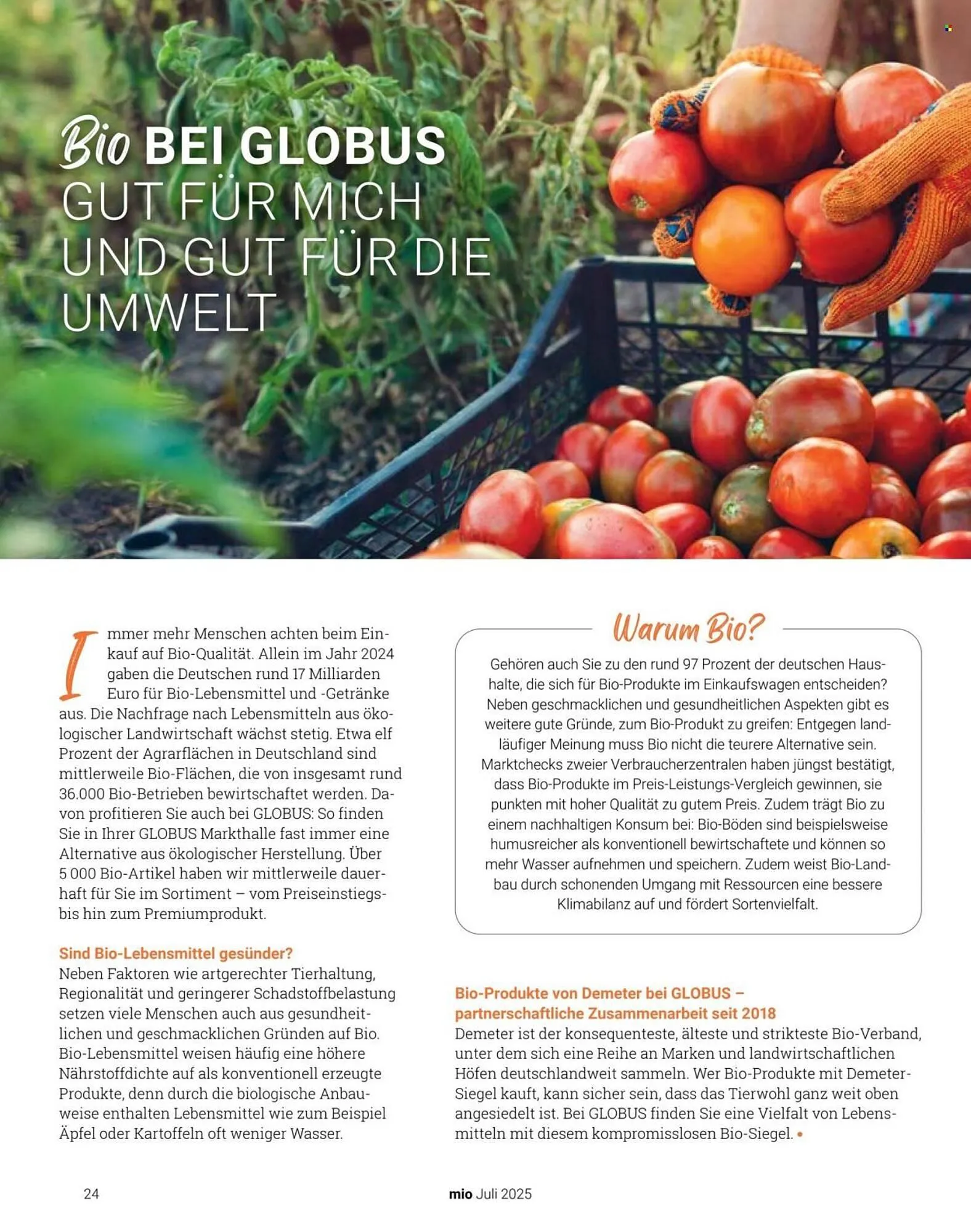 Globus Prospekt von 1. Juli bis 31. Juli 2025 - Prospekt seite 24