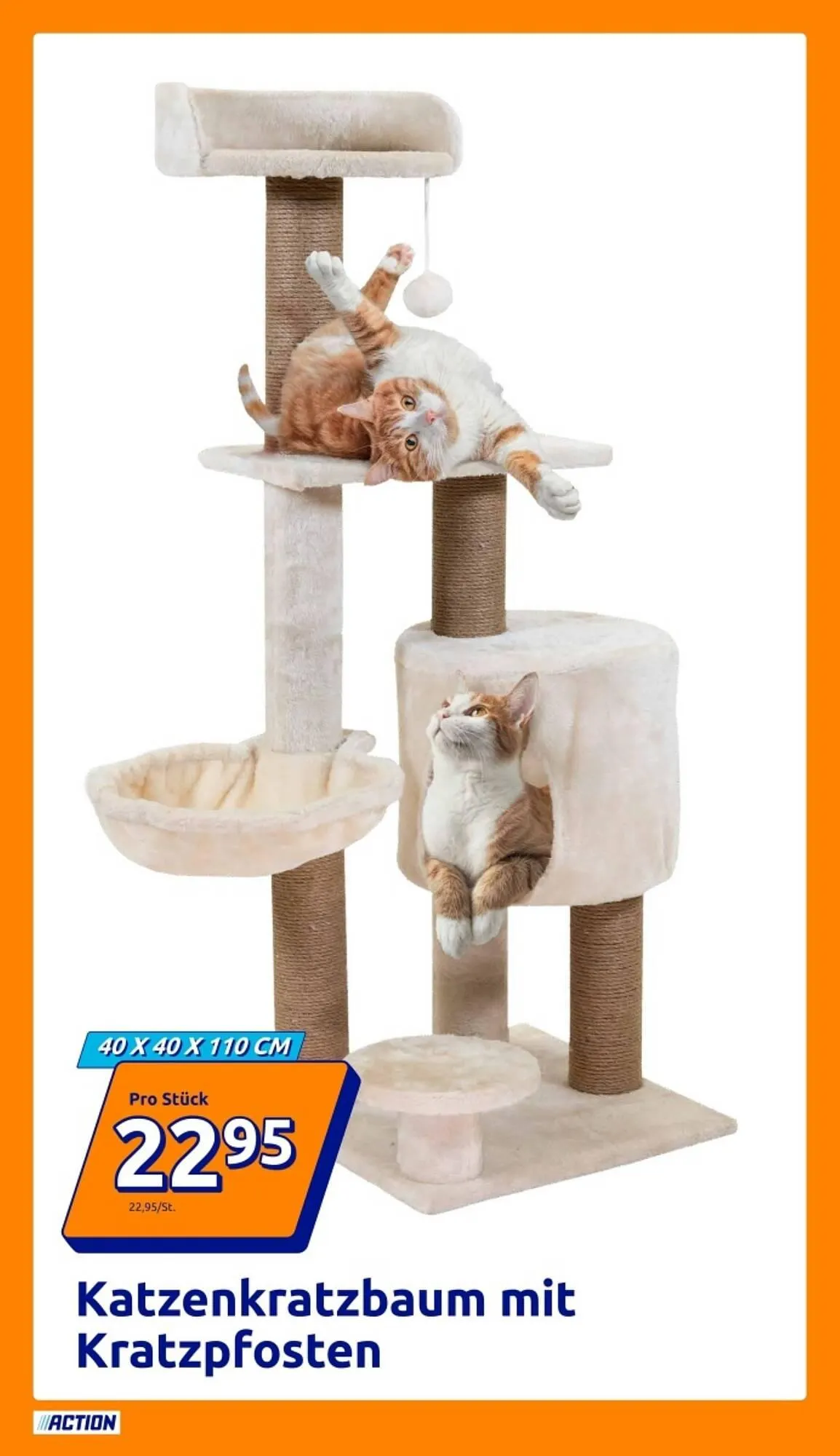 Action Prospekt von 12. November bis 18. November 2025 - Prospekt seite 13