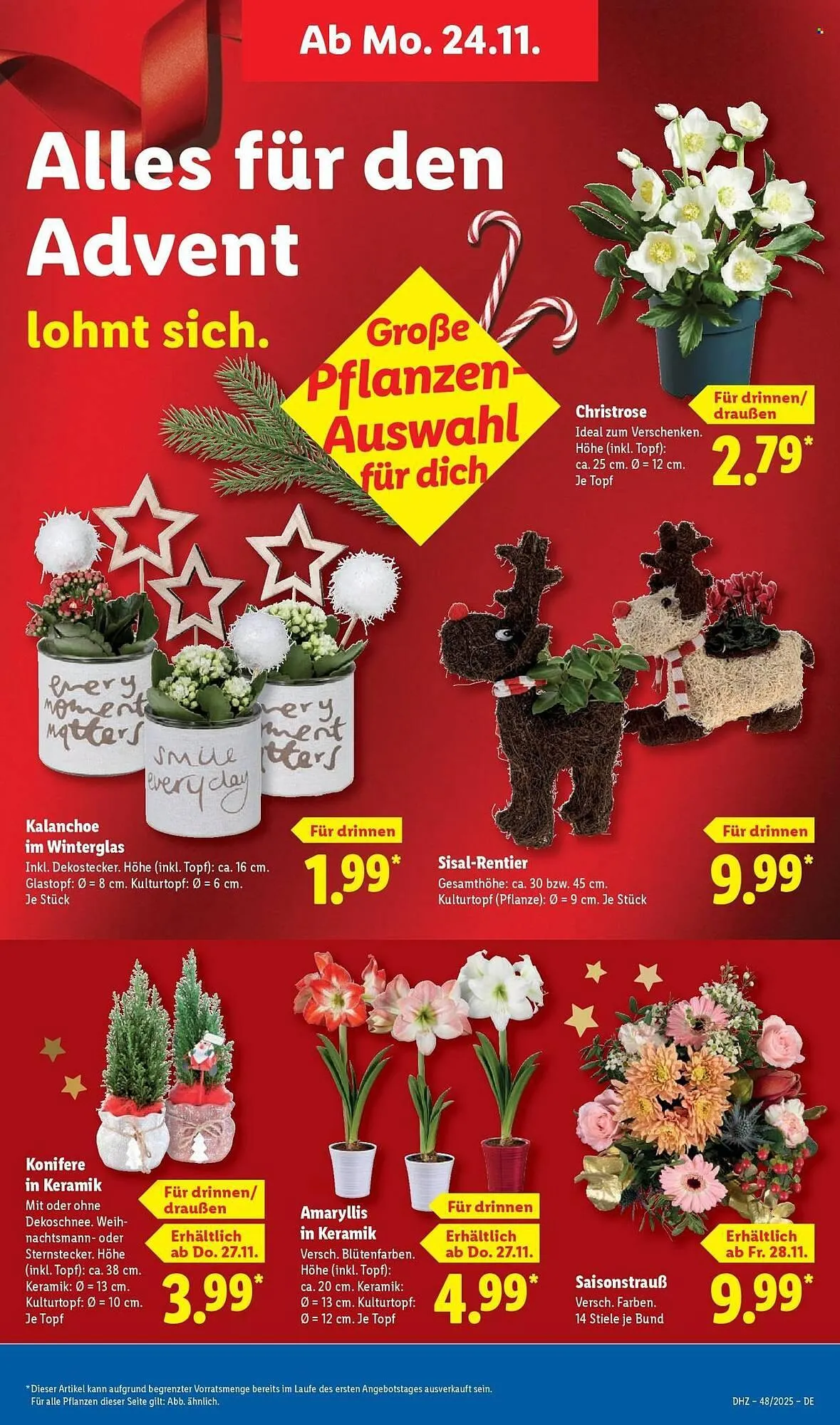 Lidl Prospekt von 24. November bis 29. November 2025 - Prospekt seite 11