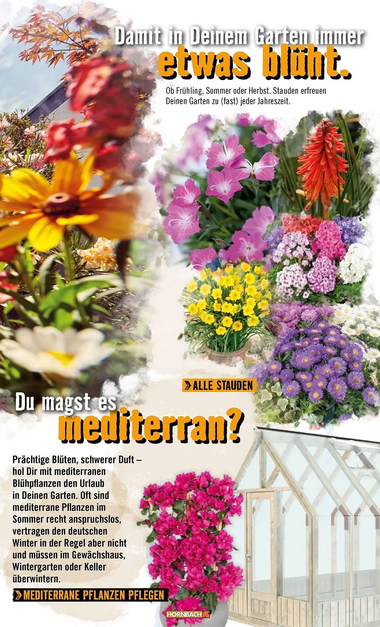 Hornbach Prospekt von 1. April bis 7. April 2025 - Prospekt seite 27