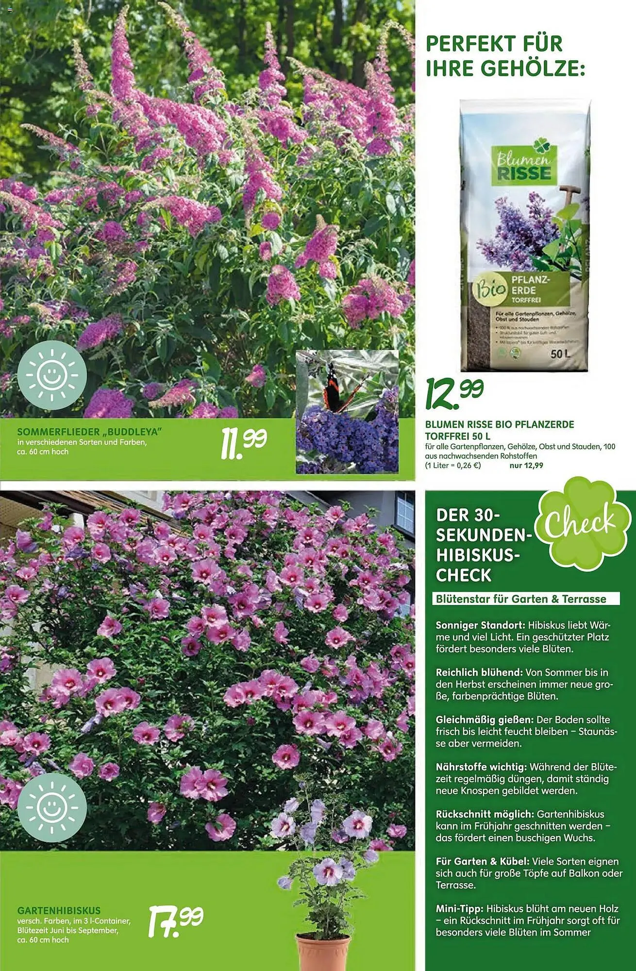 Blumen Risse Prospekt von 16. April bis 26. April 2026 - Prospekt seite 9