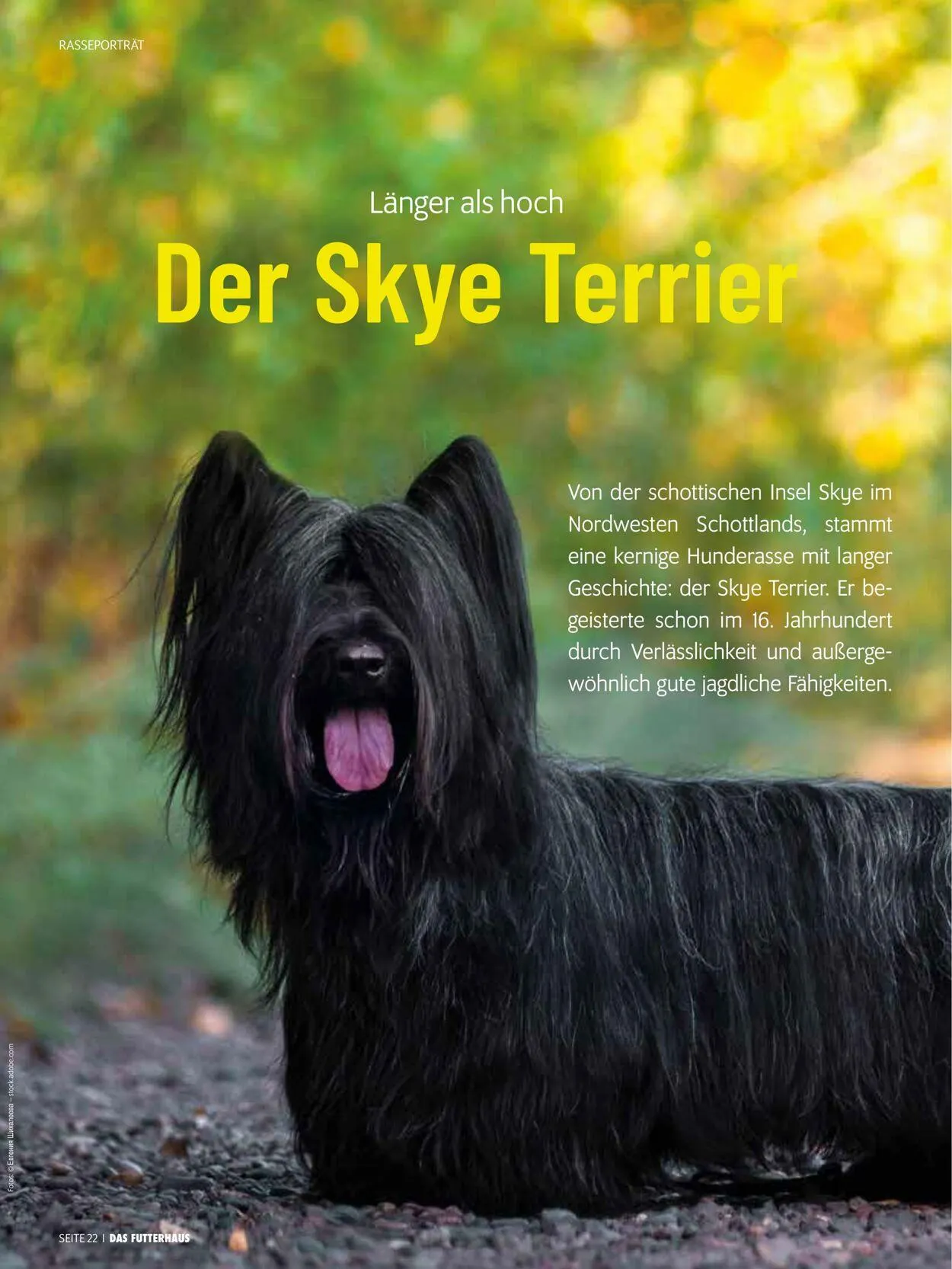 Futterhaus Aktueller Prospekt von 1. August bis 31. August 2025 - Prospekt seite 22