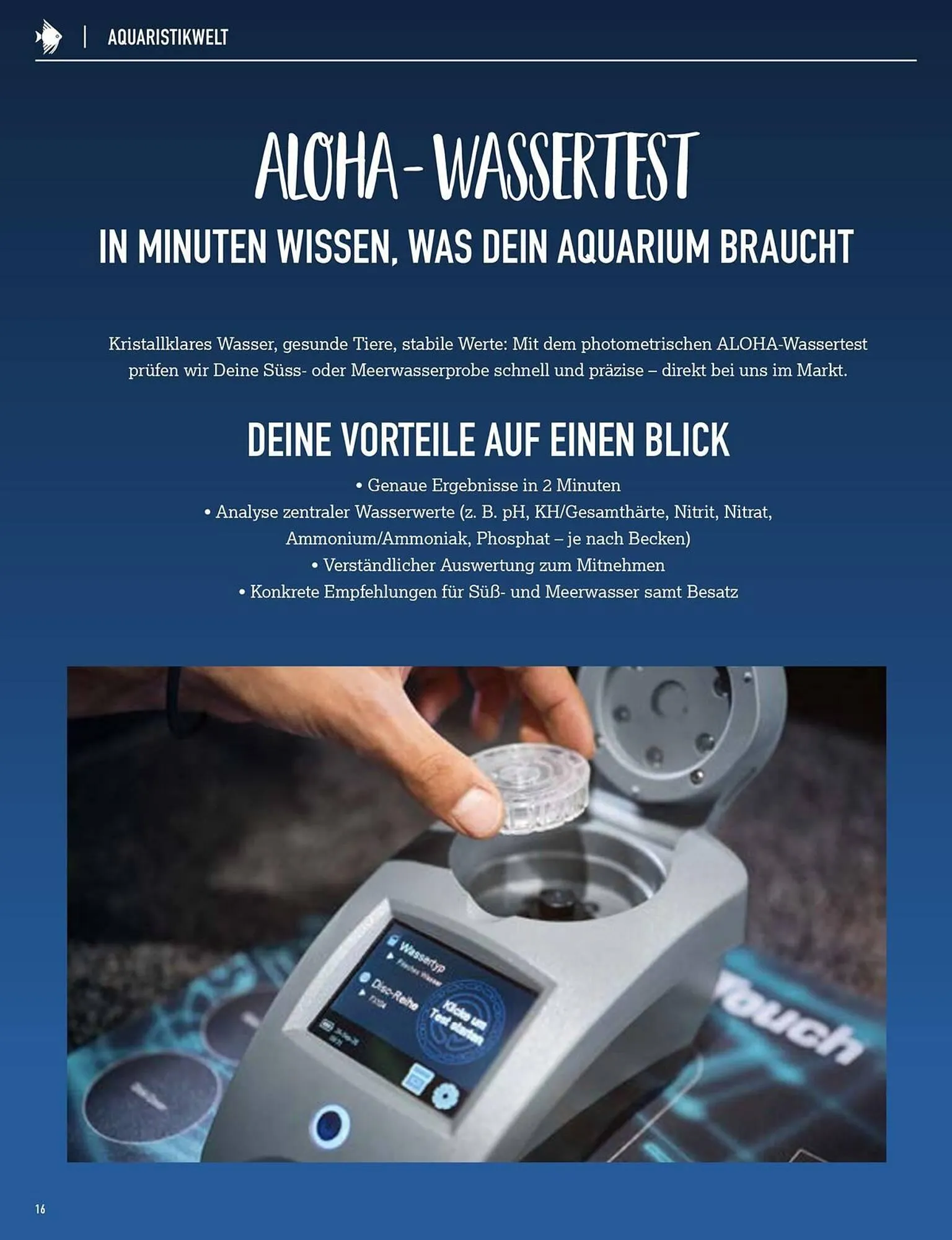 Kölle Zoo Prospekt von 24. Oktober bis 6. November 2025 - Prospekt seite 16