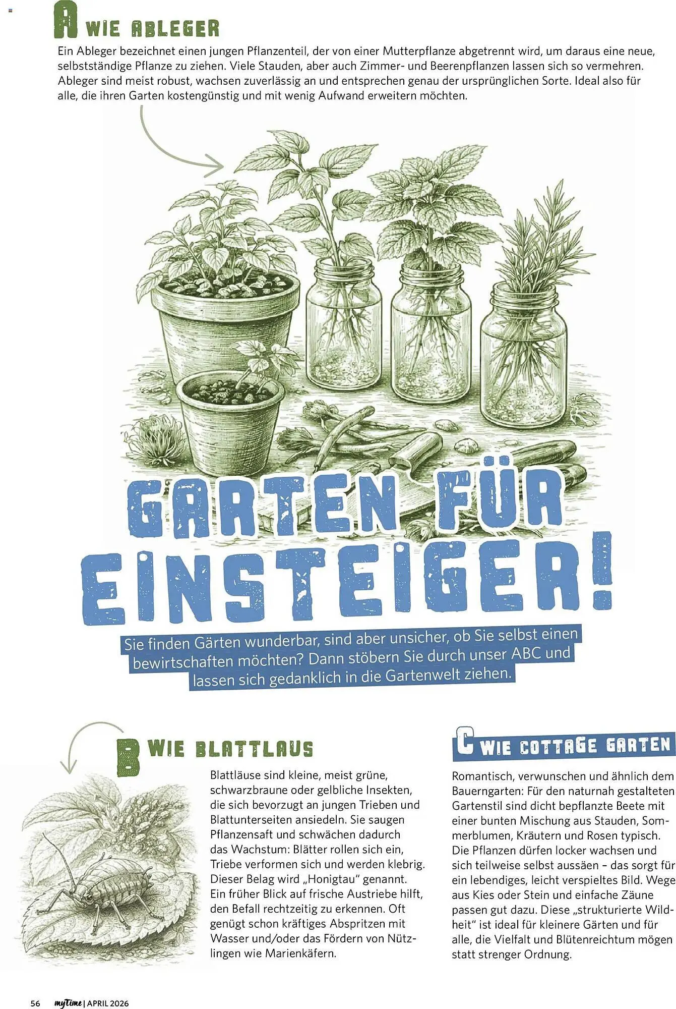 Combi Magazine von 1. April bis 30. April 2026 - Prospekt seite 56