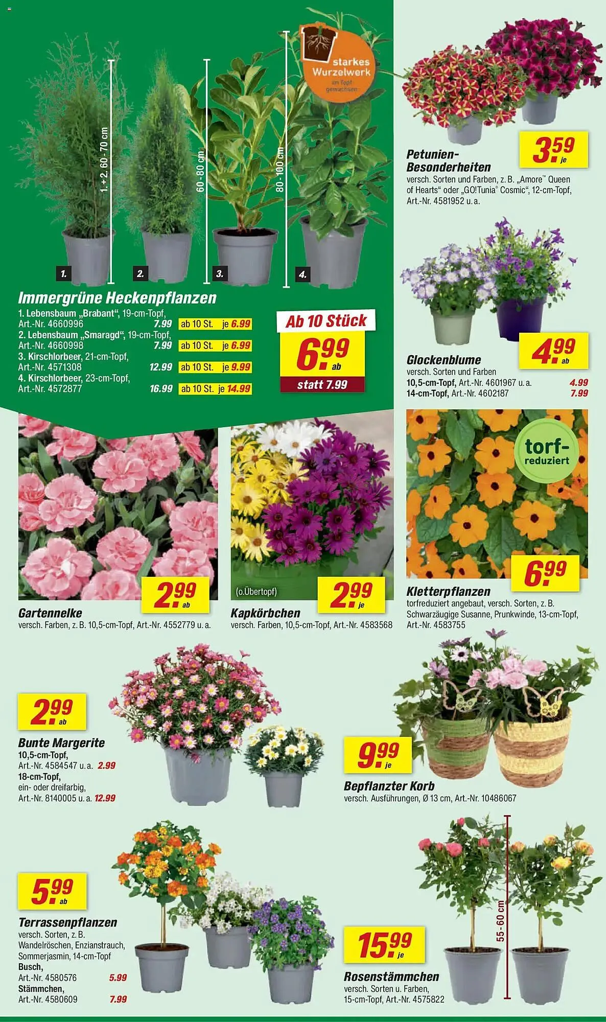 Toom Baumarkt Prospekt von 11. April bis 17. April 2026 - Prospekt seite 6