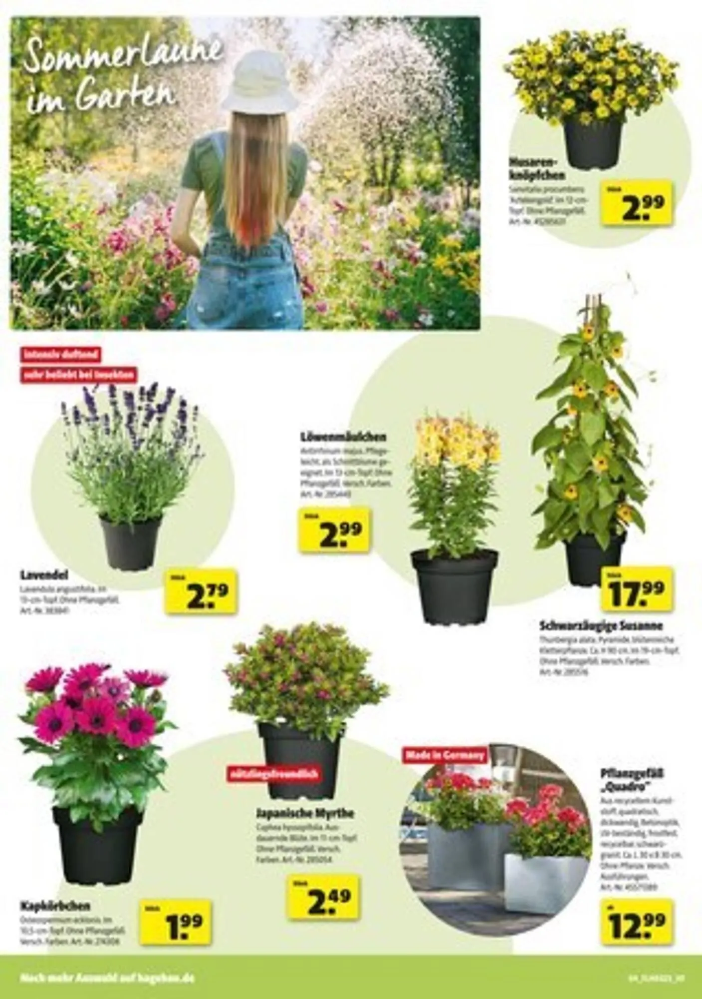 Hagebau Prospekt von 31. Mai bis 7. Juni 2025 - Prospekt seite 4