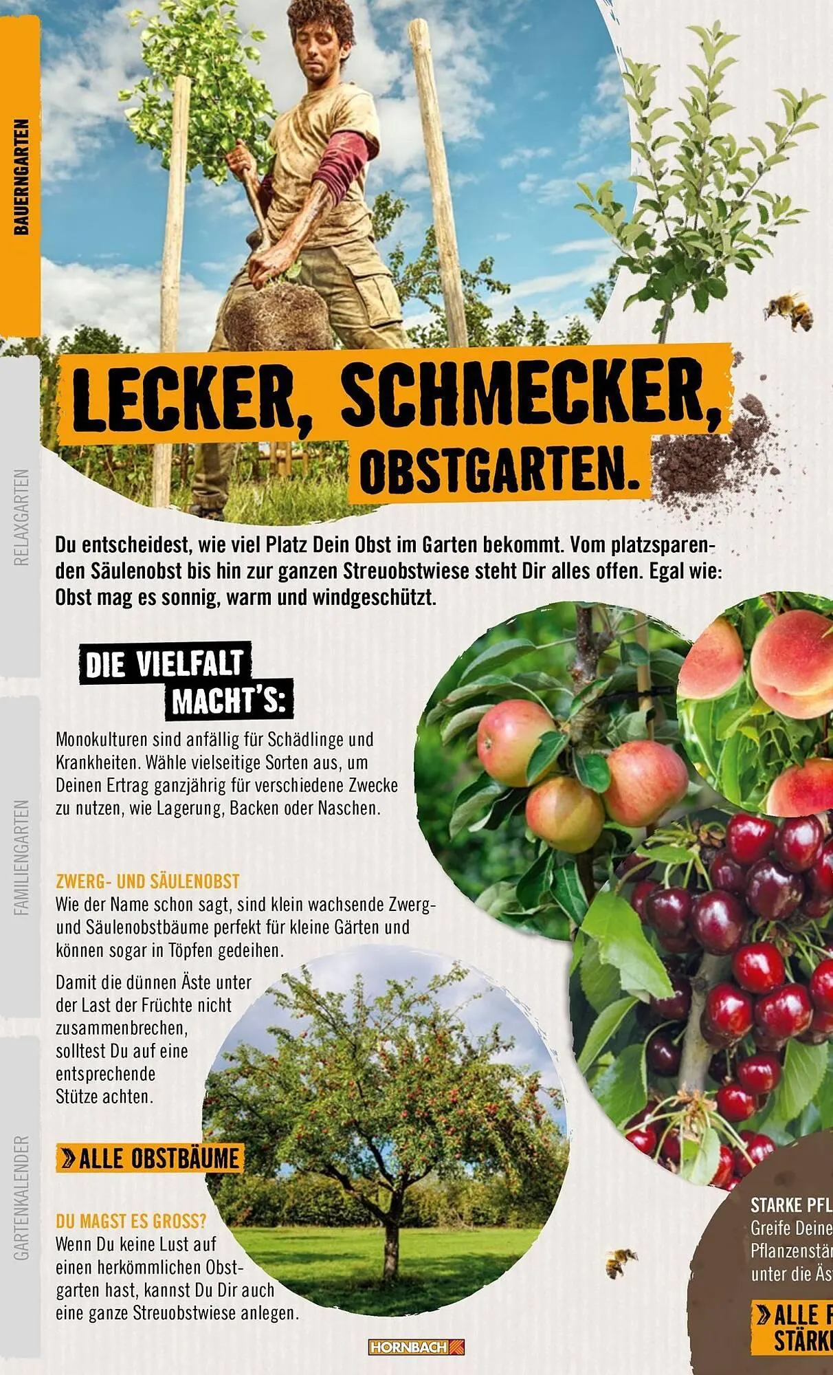 Hornbach Prospekt von 1. April bis 7. April 2025 - Prospekt seite 8