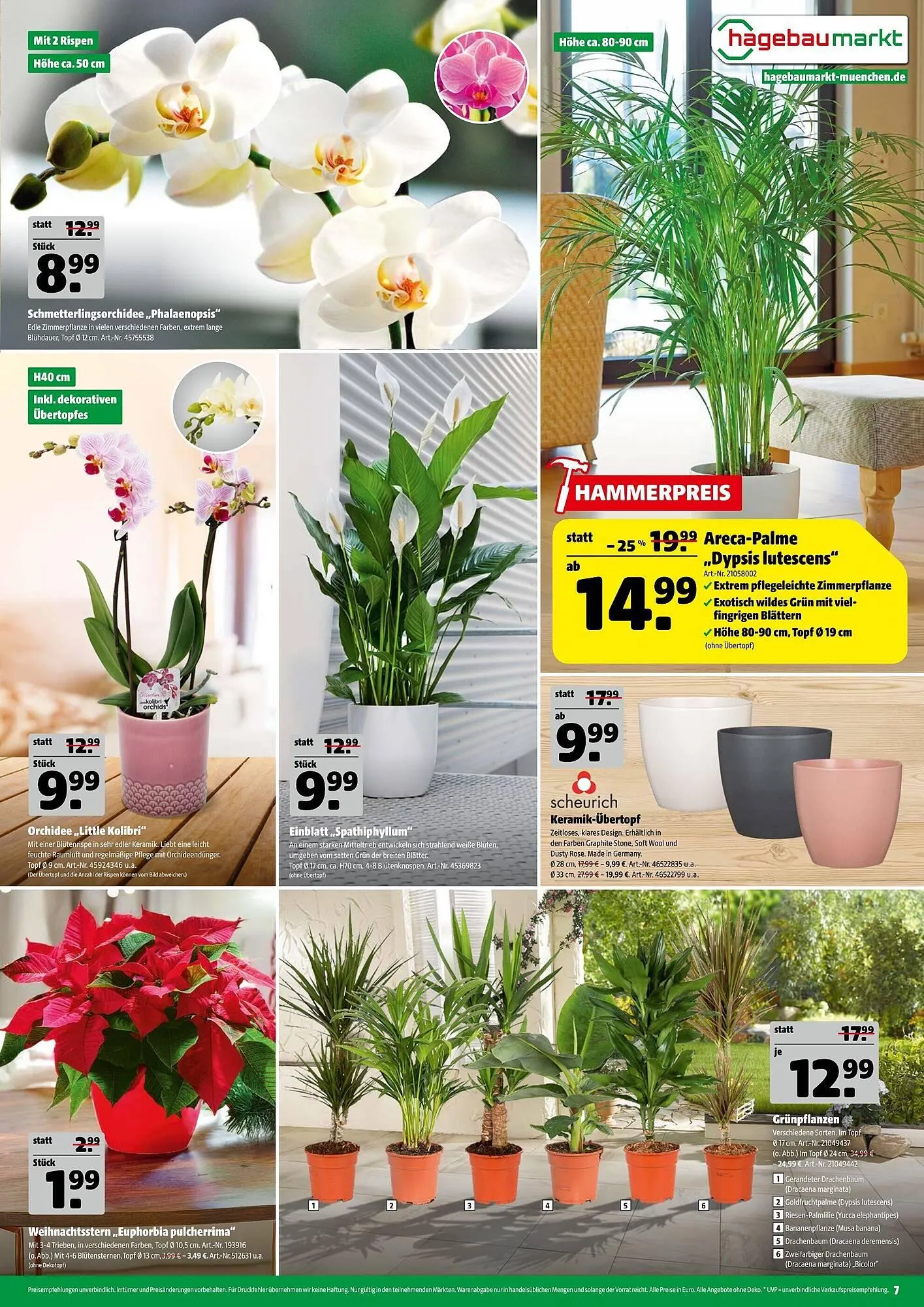 Hagebau Prospekt von 6. Dezember bis 13. Dezember 2025 - Prospekt seite 7