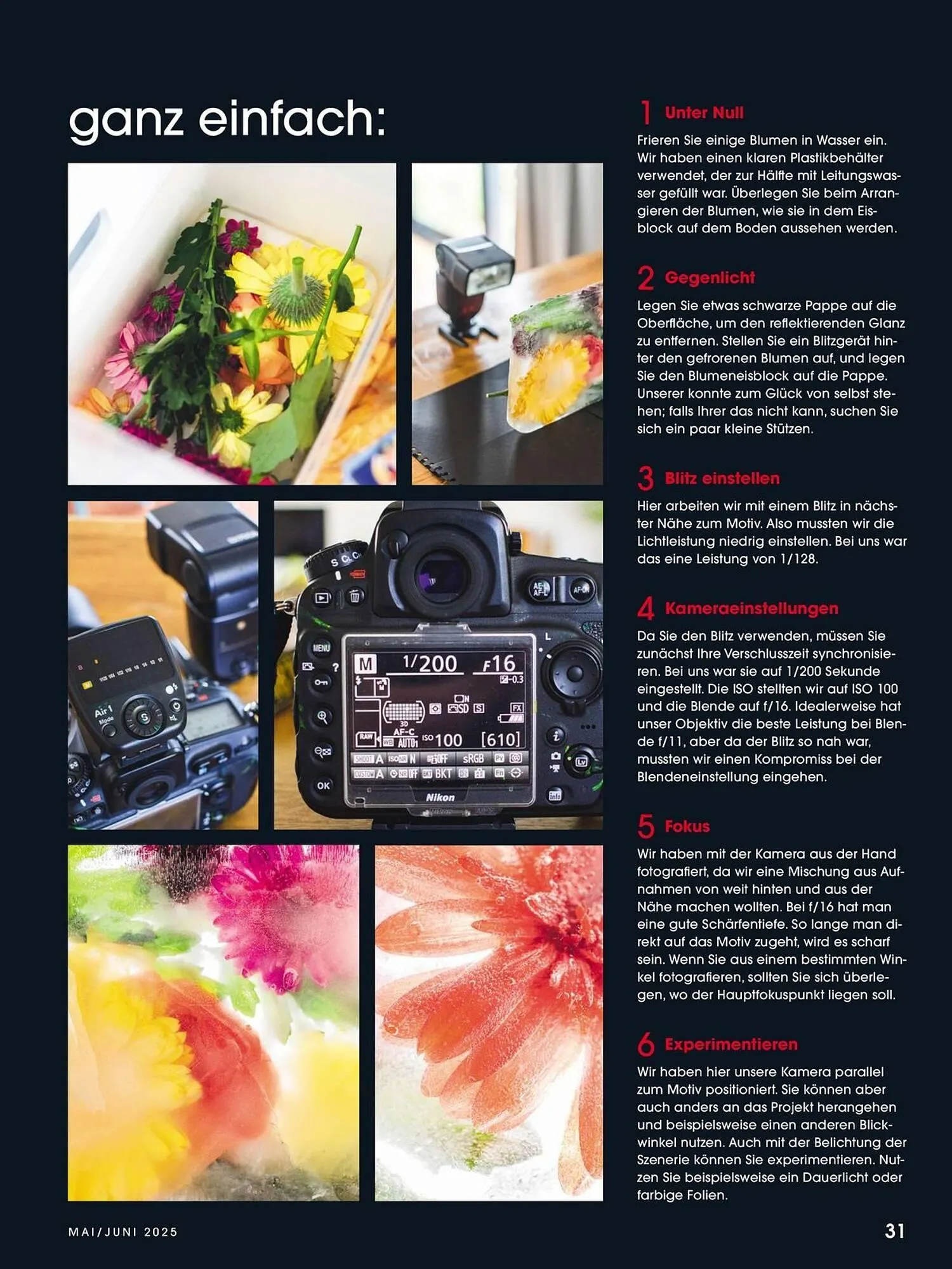 Ringfoto Prospekt von 22. Mai bis 30. Juni 2025 - Prospekt seite 31