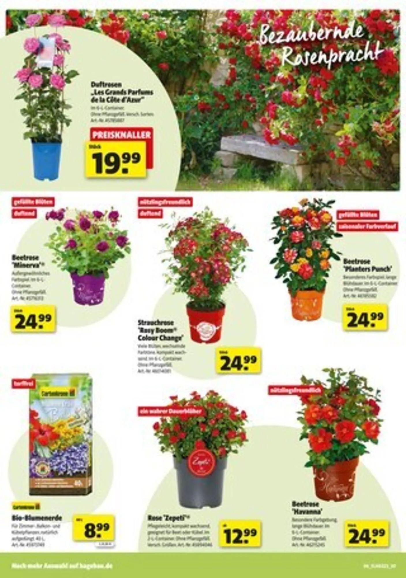 Hagebau Prospekt von 31. Mai bis 7. Juni 2025 - Prospekt seite 6