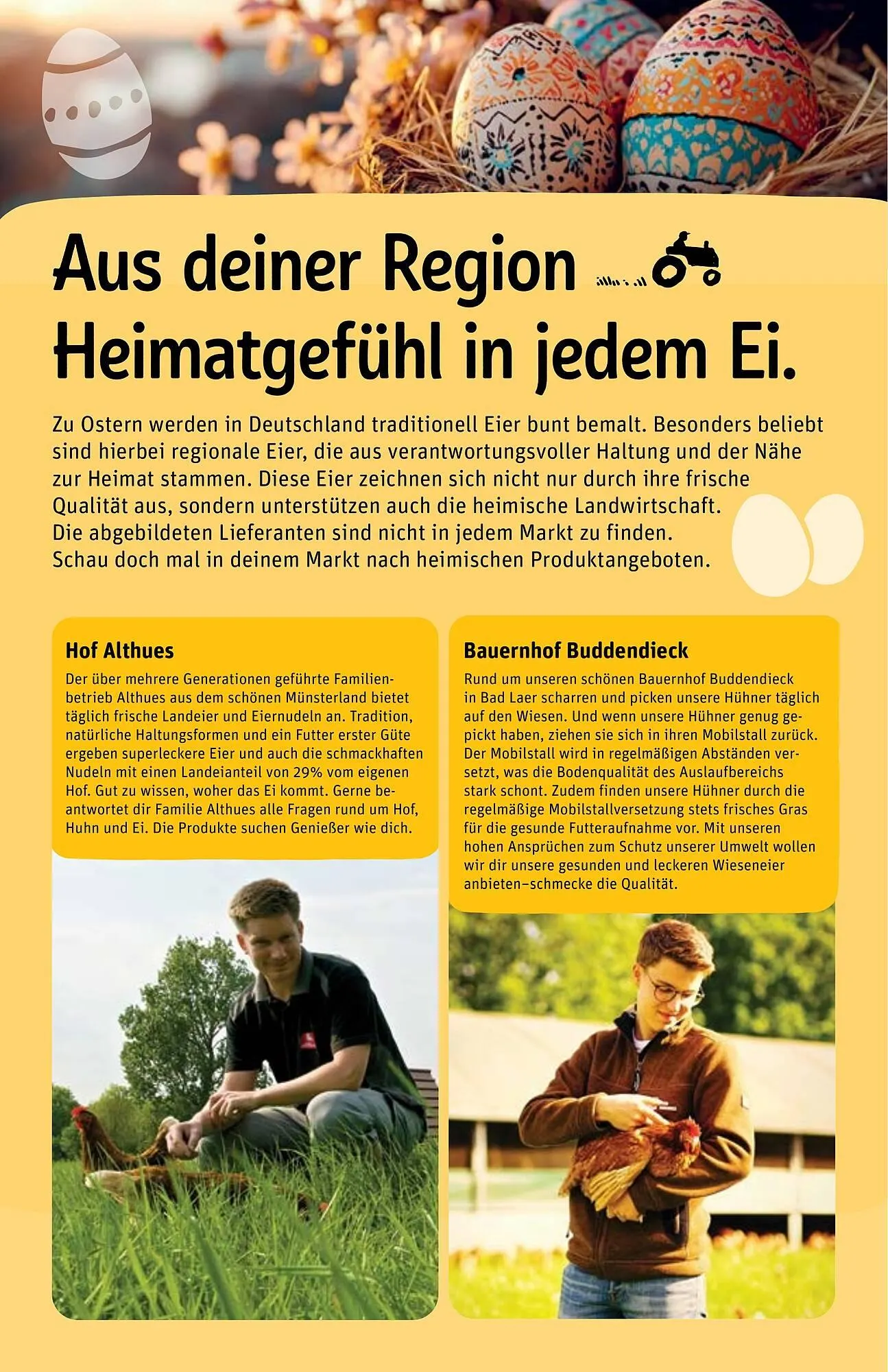 REWE Prospekt von 14. April bis 19. April 2025 - Prospekt seite 31