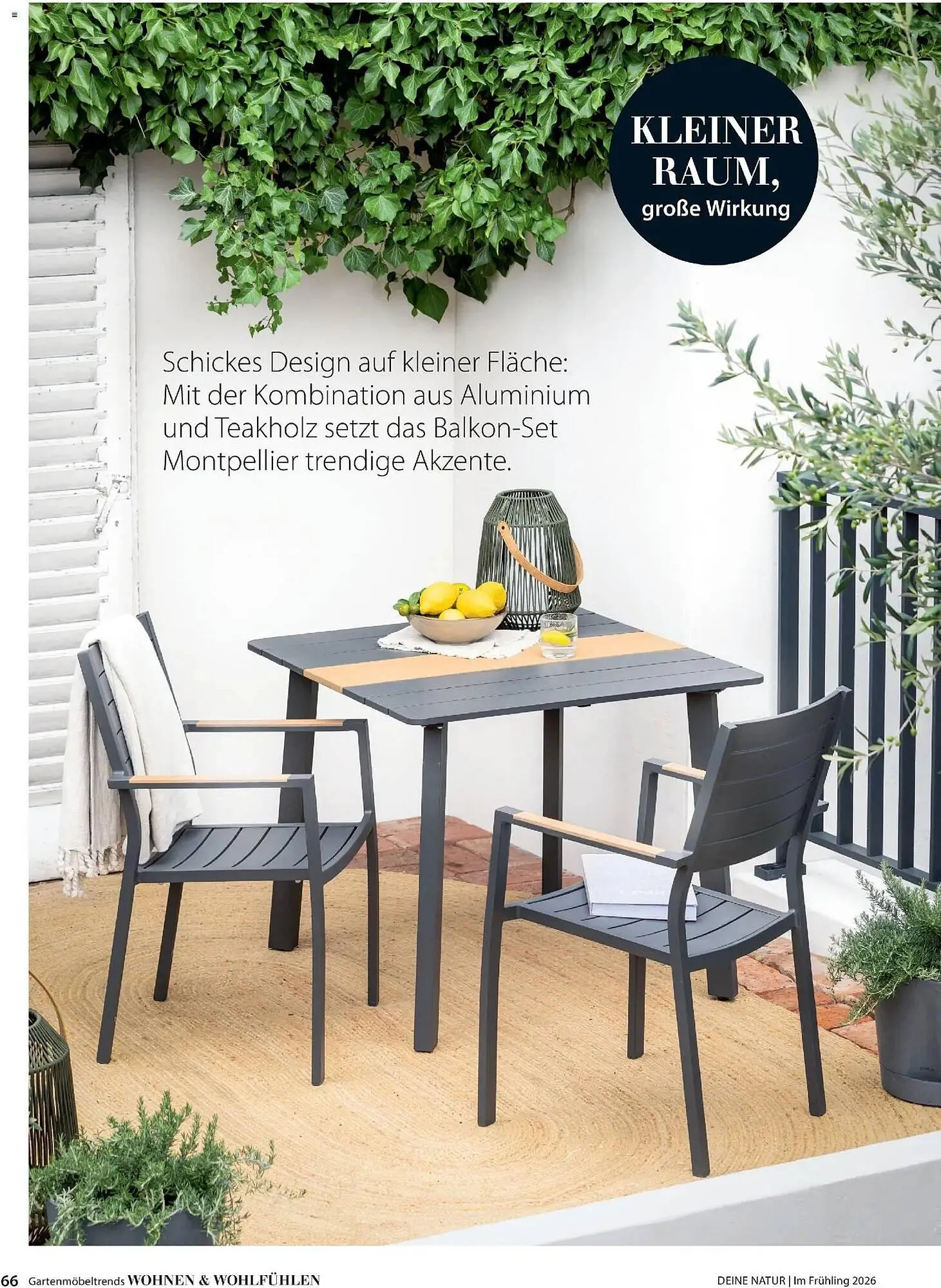 Dehner Prospekt von 4. März bis 31. Mai 2026 - Prospekt seite 66