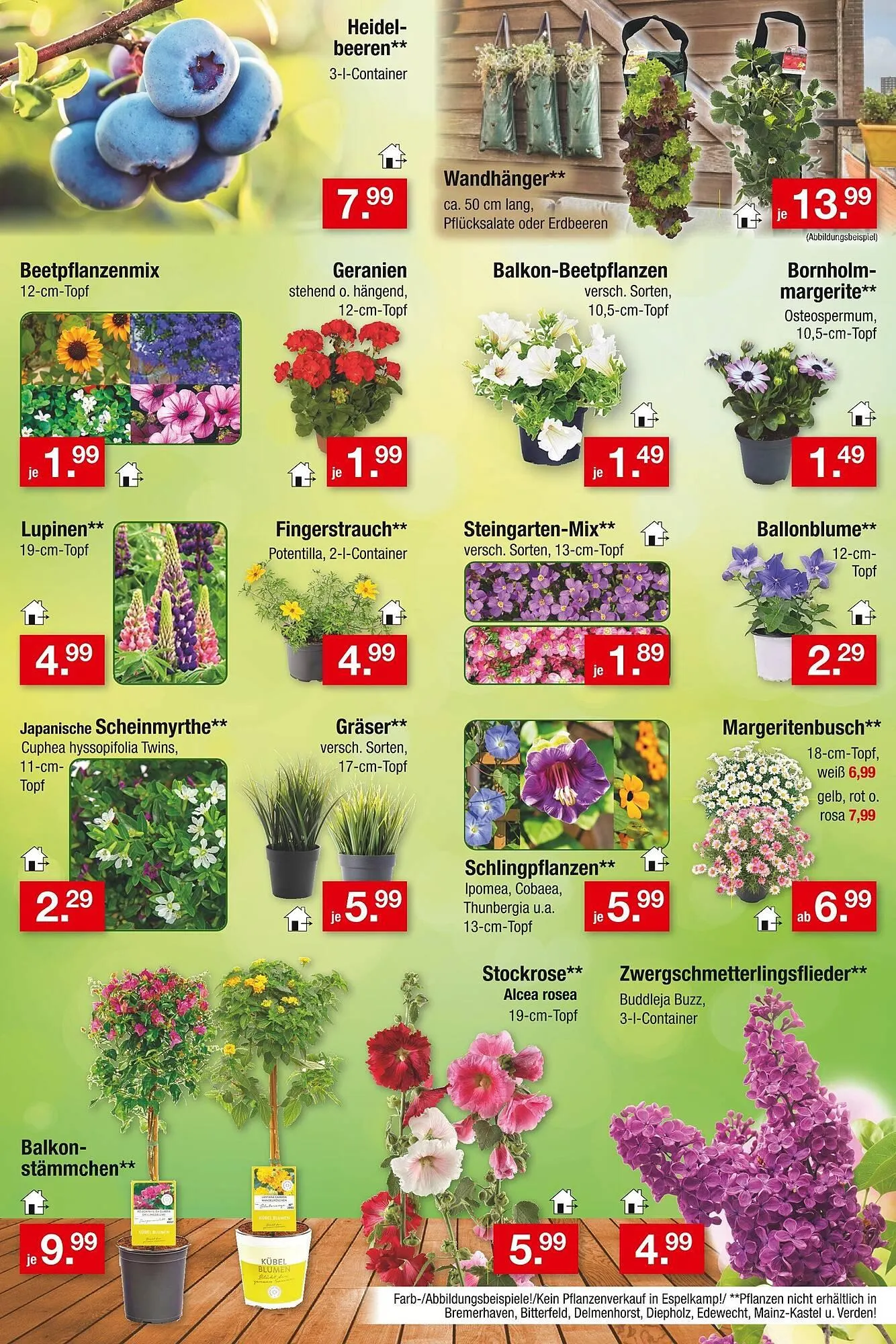 Zimmermann Prospekt von 19. Mai bis 24. Mai 2025 - Prospekt seite 13