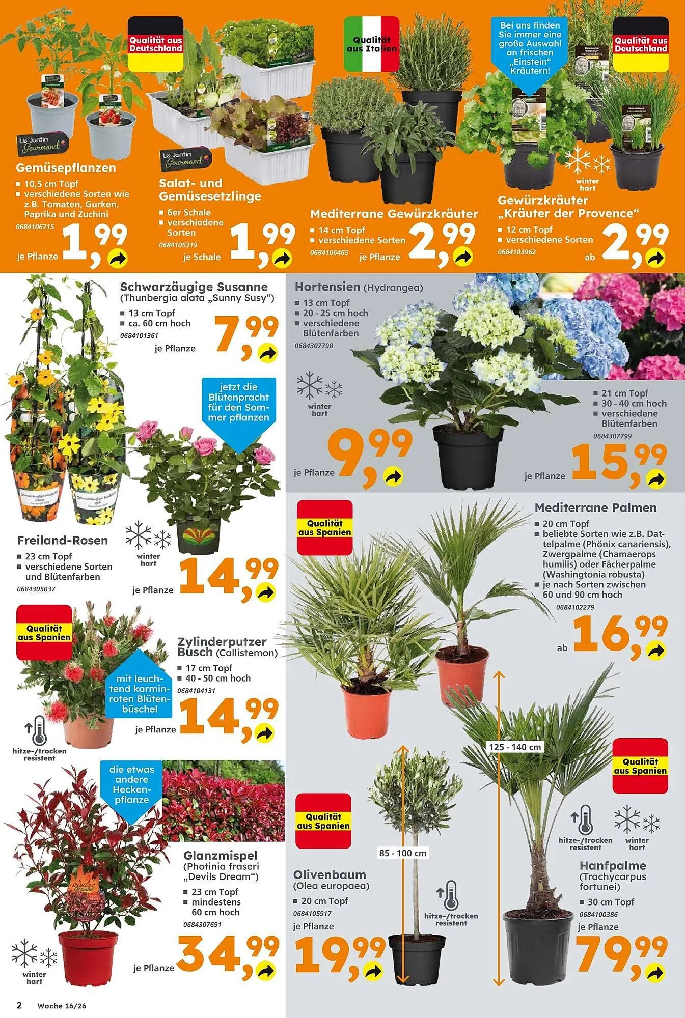 Globus Baumarkt Prospekt von 12. April bis 18. April 2026 - Prospekt seite 2