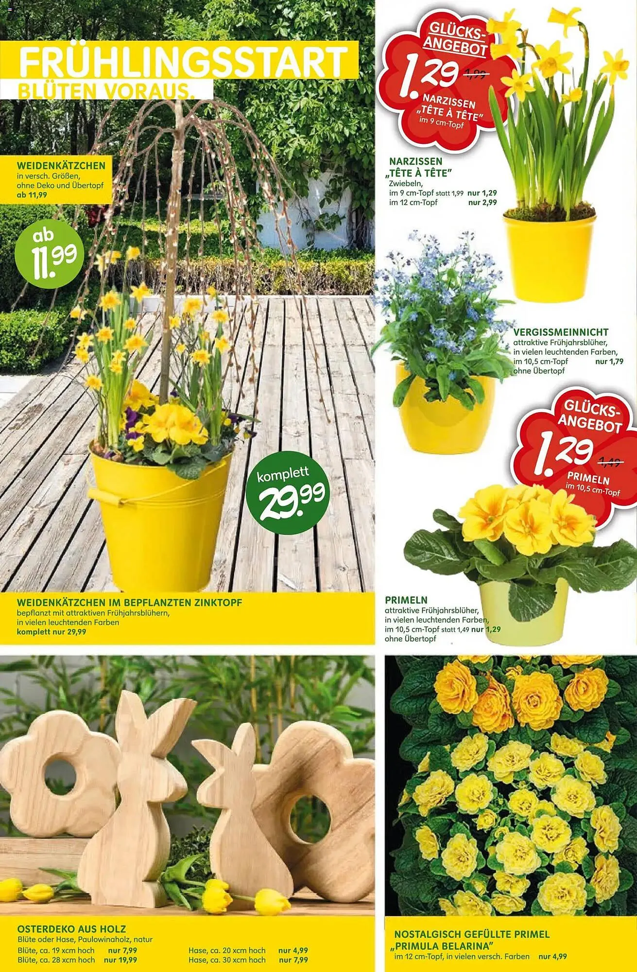 Blumen Risse Prospekt von 12. März bis 22. März 2026 - Prospekt seite 10