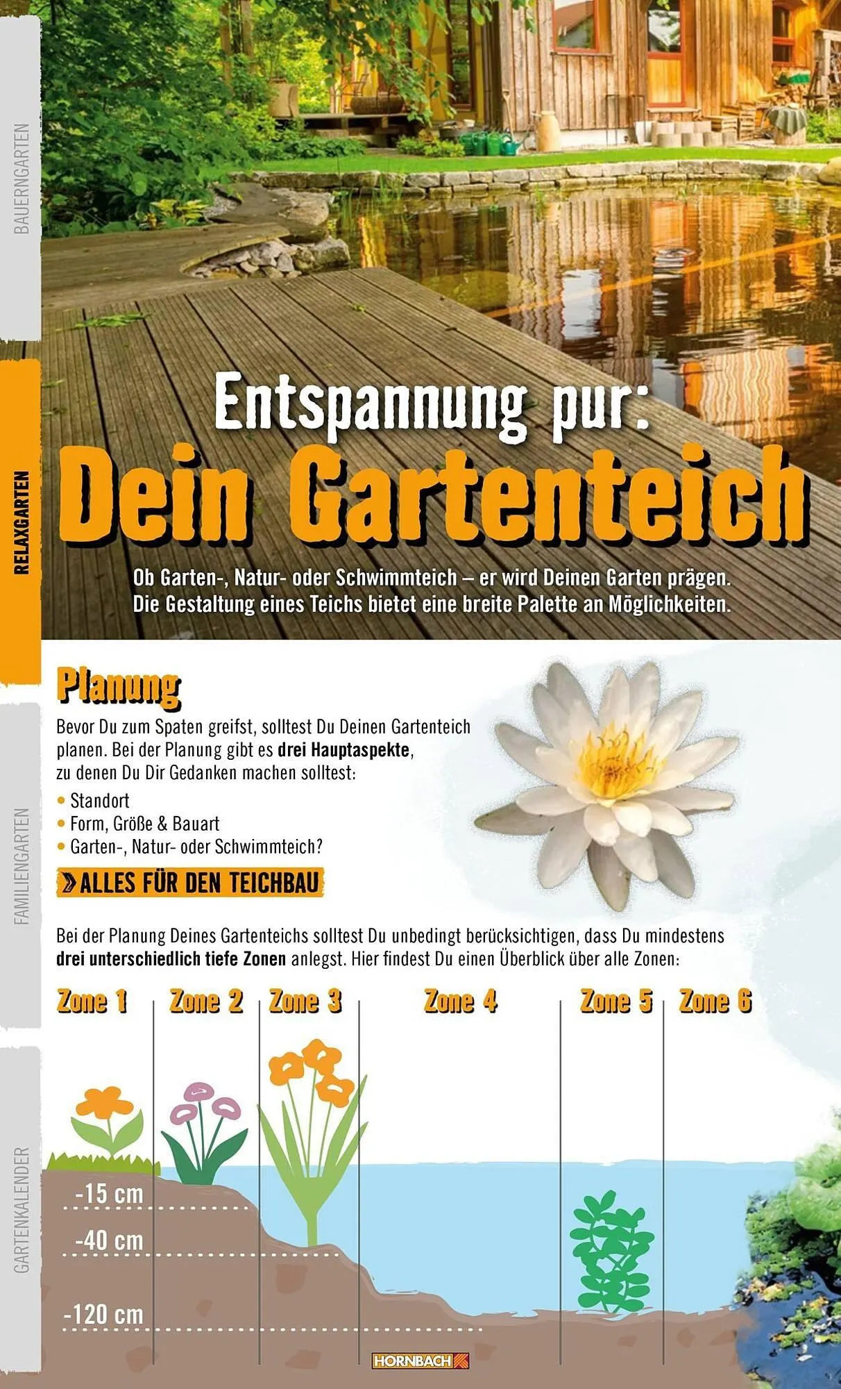 Hornbach Prospekt von 1. April bis 7. April 2025 - Prospekt seite 38