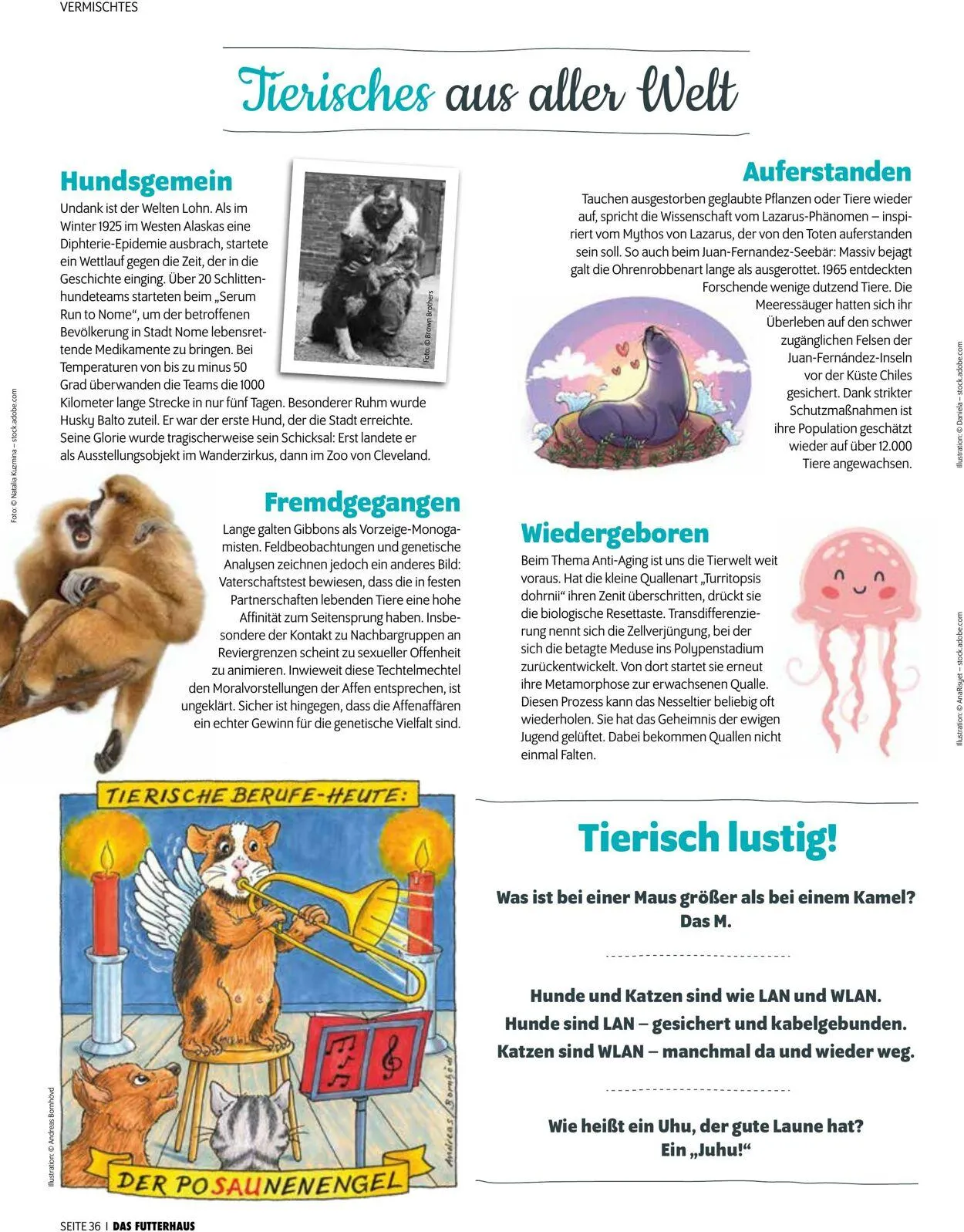 Futterhaus Aktueller Prospekt von 1. Dezember bis 31. Dezember 2025 - Prospekt seite 36