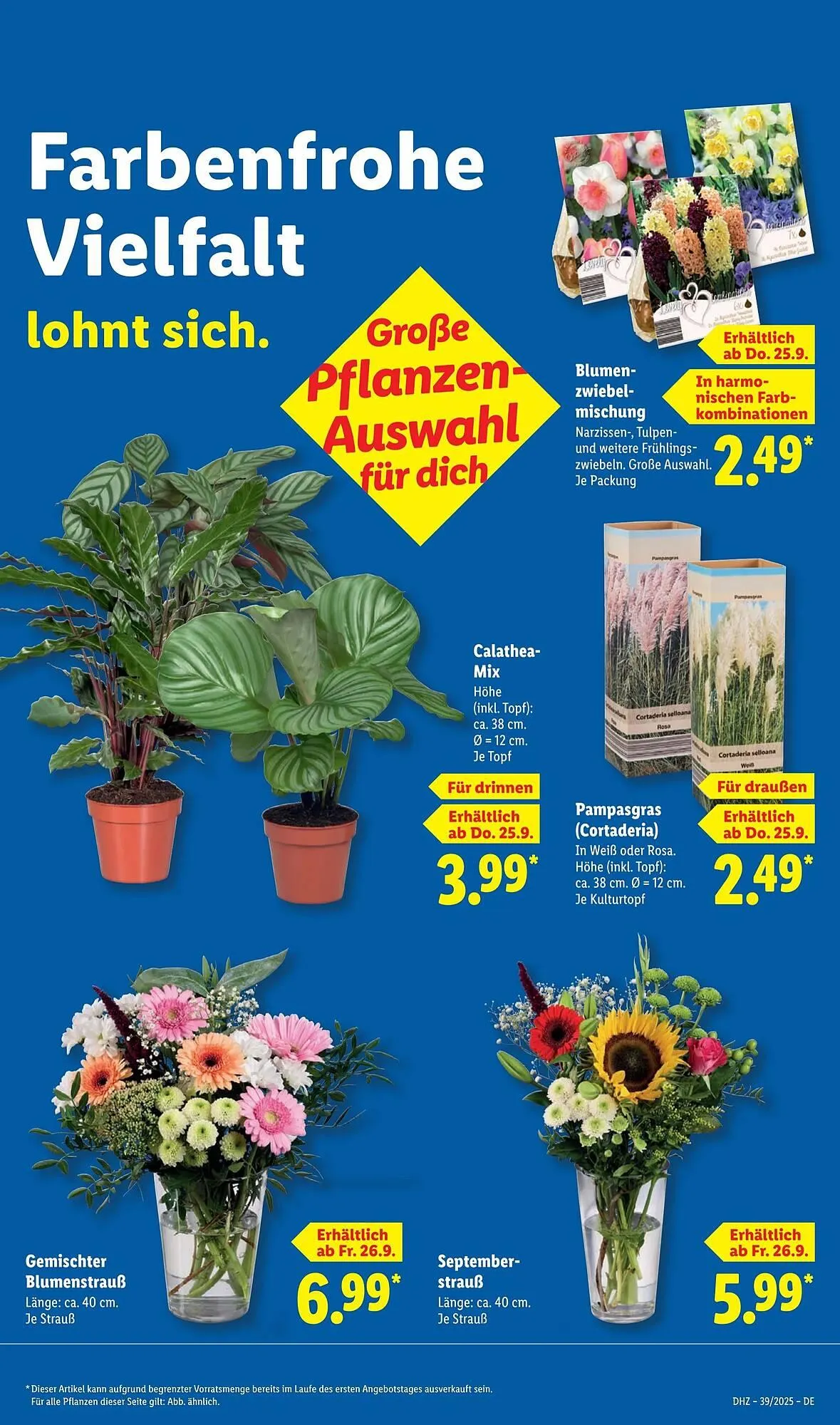 Lidl Prospekt von 22. September bis 28. September 2025 - Prospekt seite 65