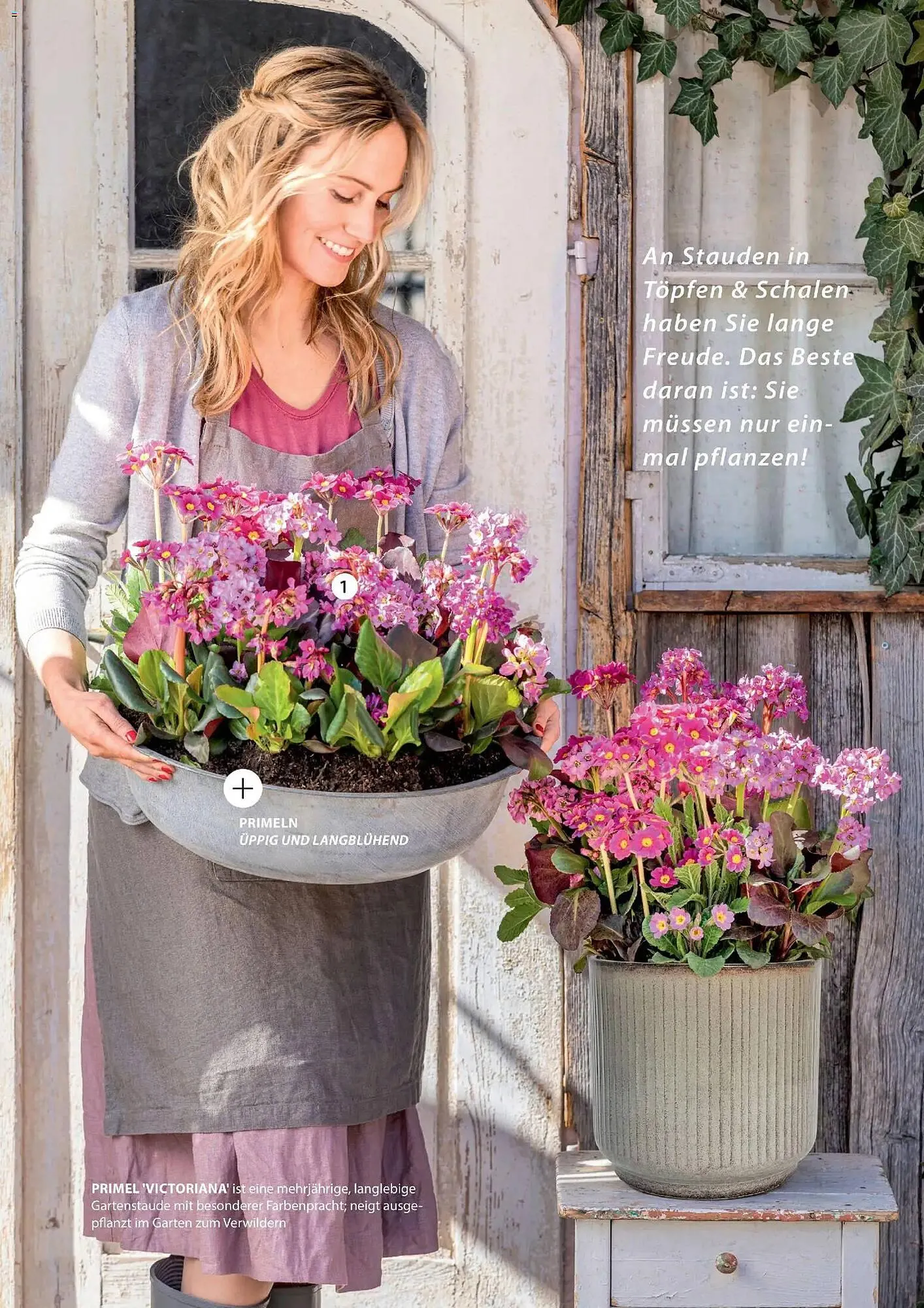 Dehner Prospekt von 4. März bis 31. Mai 2026 - Prospekt seite 44